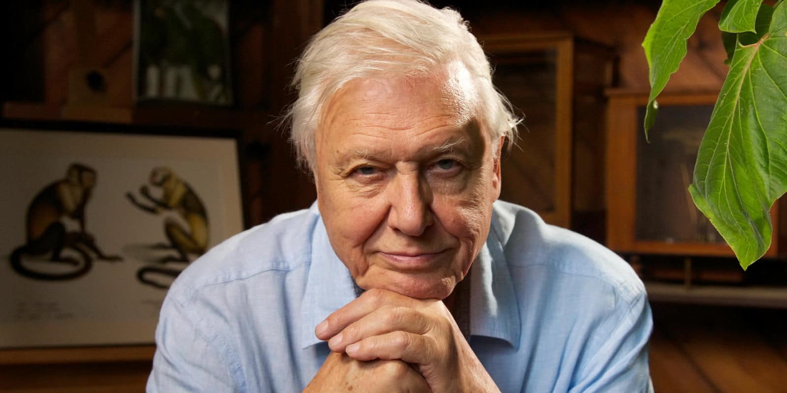 David Attenborough Net Worth 2024 Wiki, Married, Family, Wedding