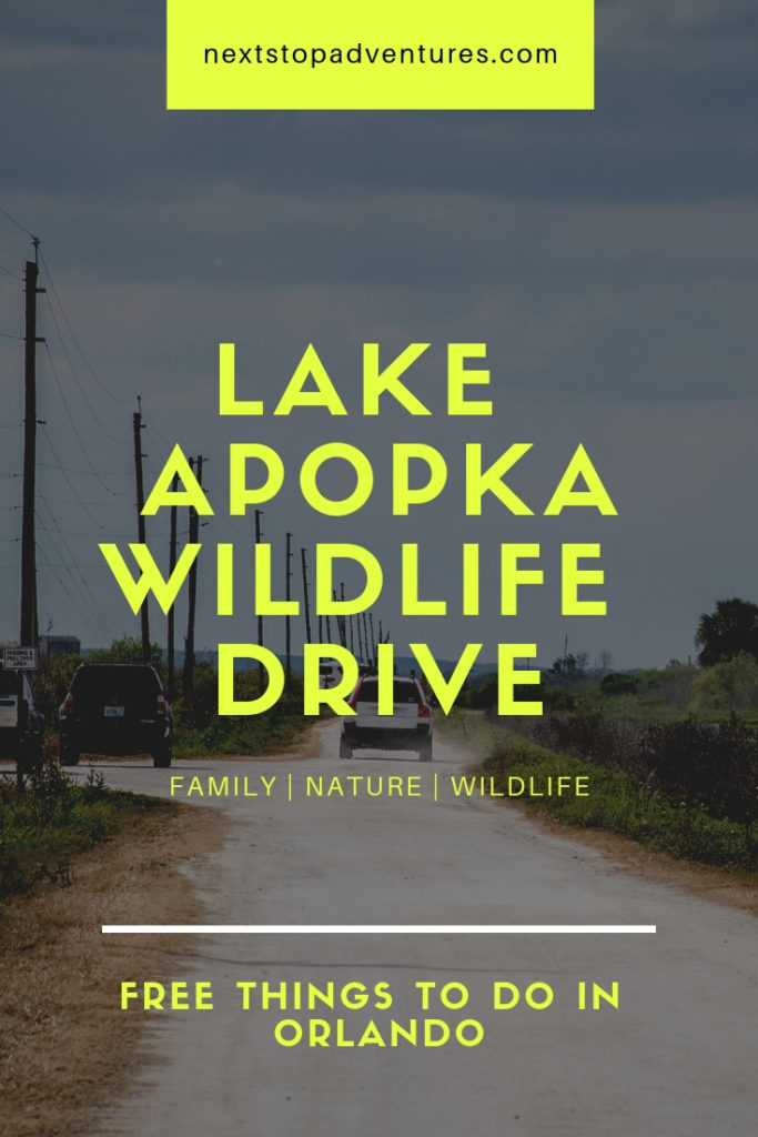 Lake Apopka Wildlife Drive in Central Florida