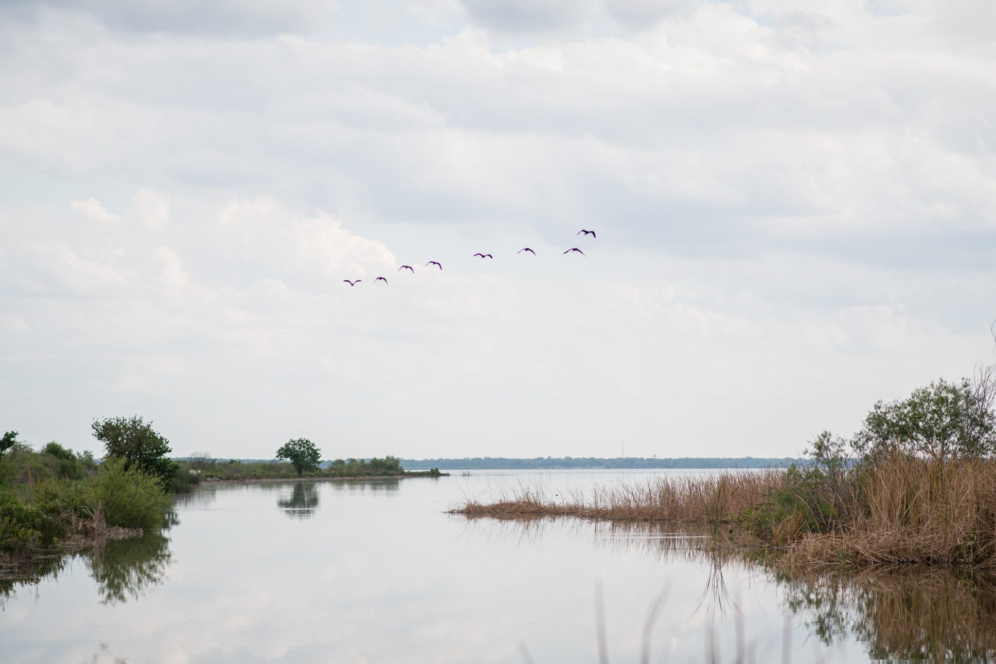 lake apopka wildlife drive