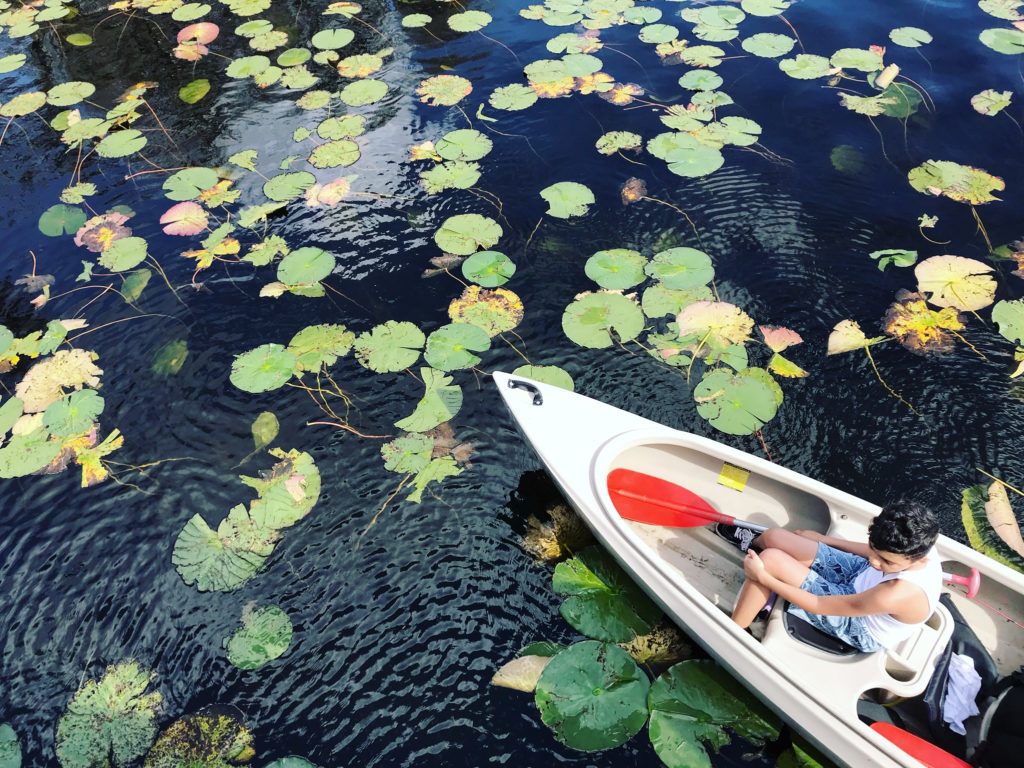 free things to do this summer