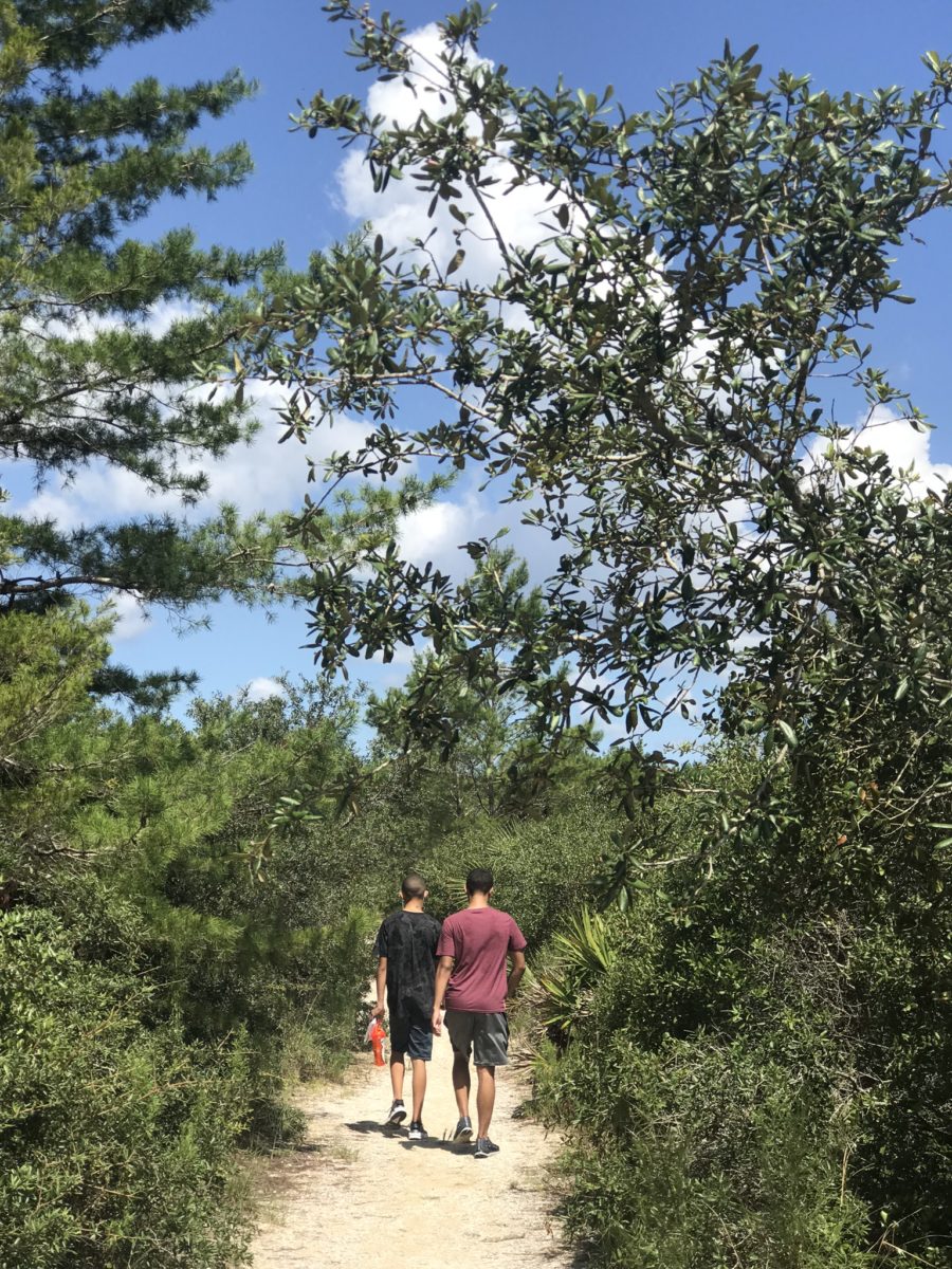 hiking trails in ocala national forest