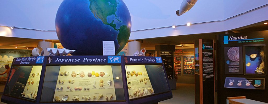 shell museum in Sanibel Island
