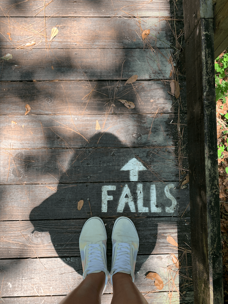 road trip to Falling Creek Falls