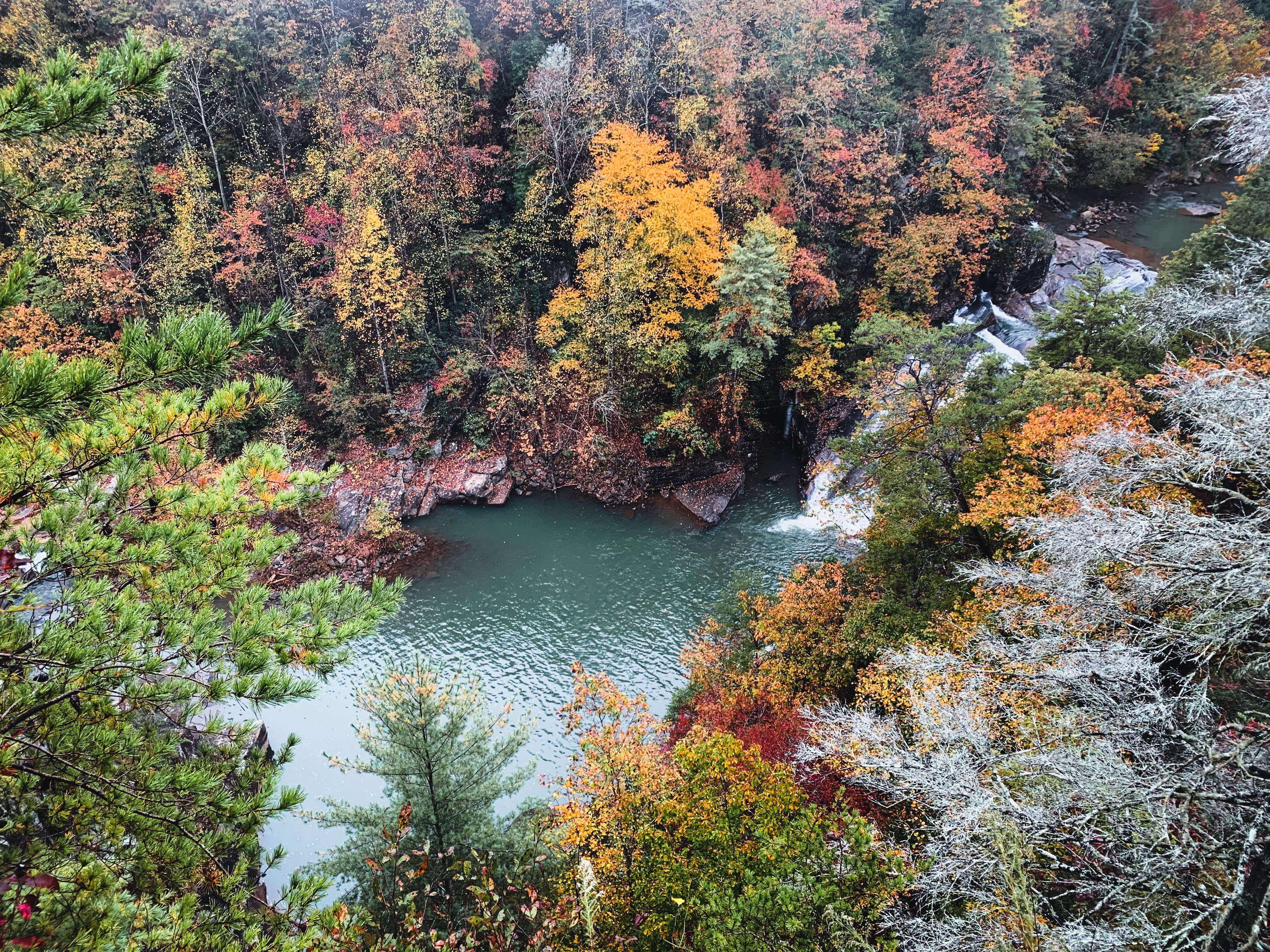 Tallulah Gorge State Park in Georgia
