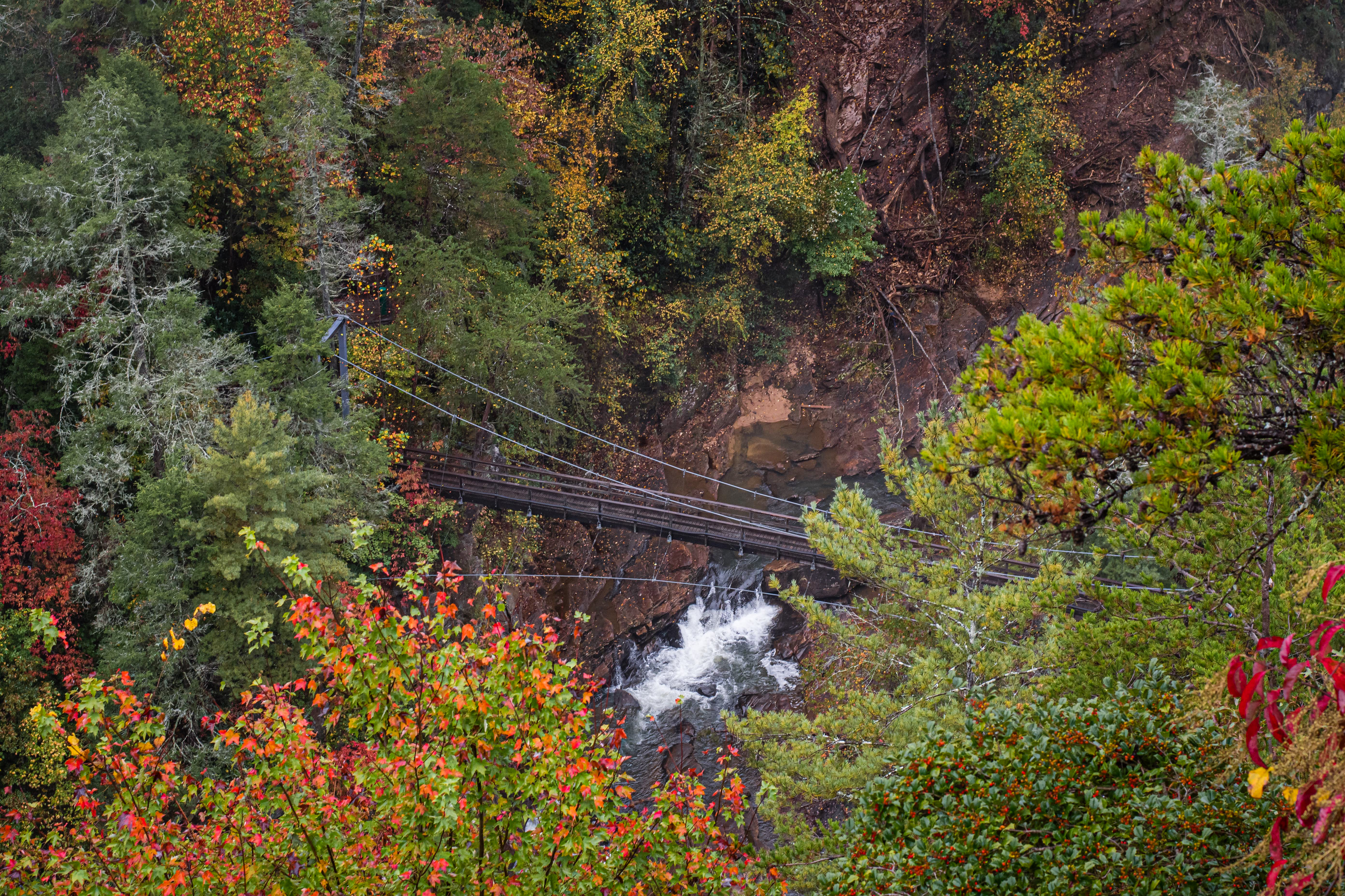 Tallulah Gorge Suspension Bridge