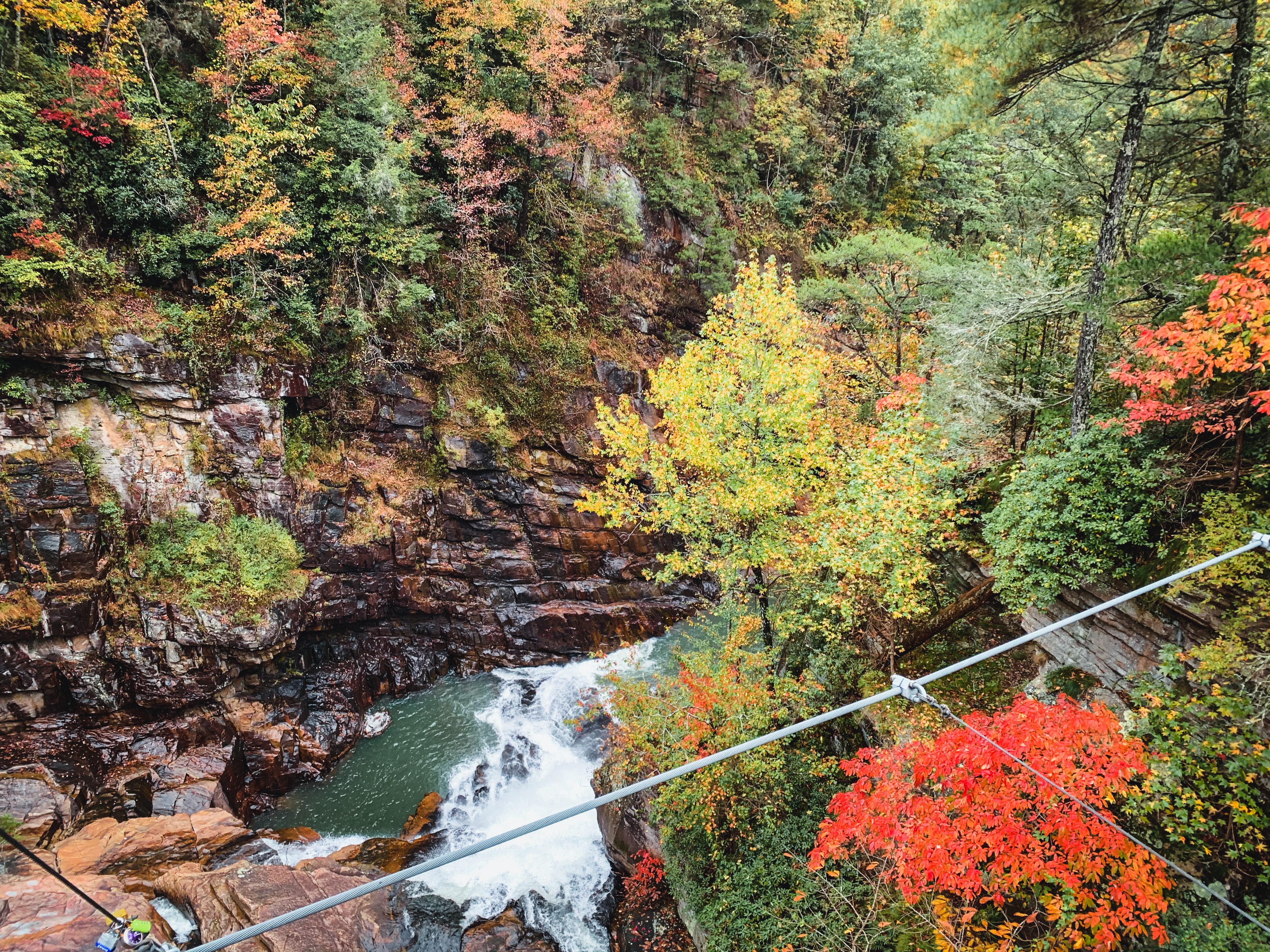 fall foliage of Georgia state parks