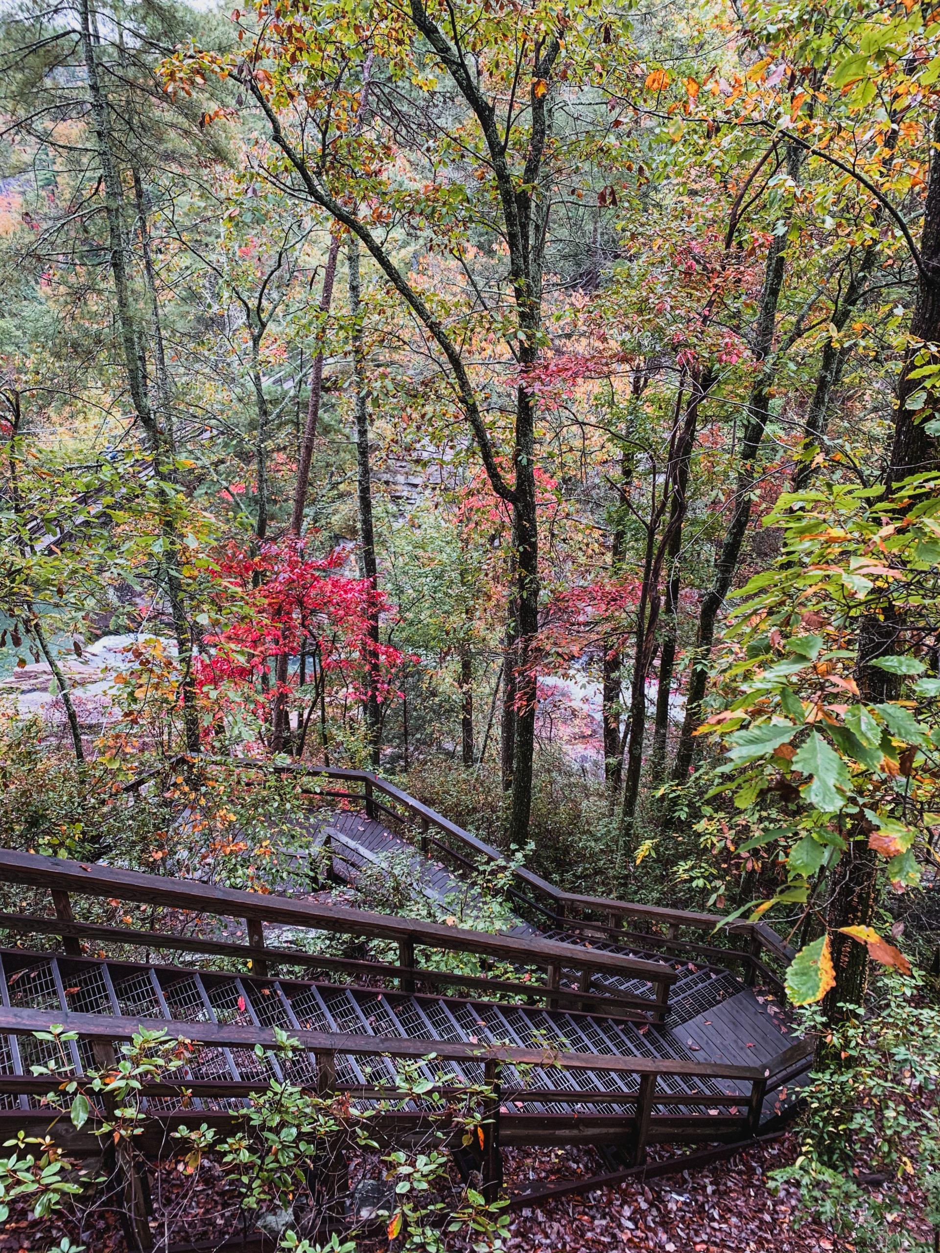 tallulah falls suspension bridge stairs