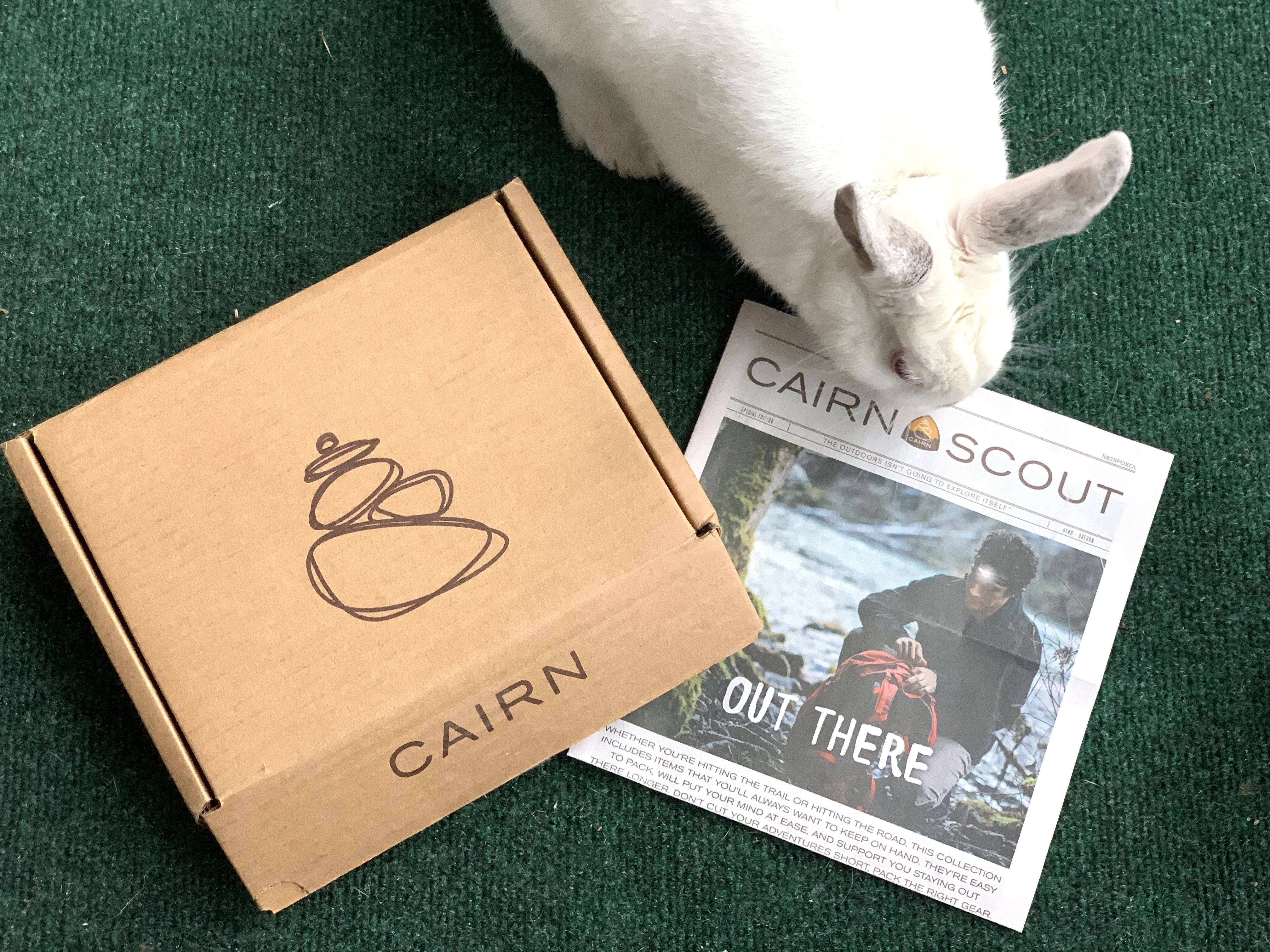 bunny with newspaper and box