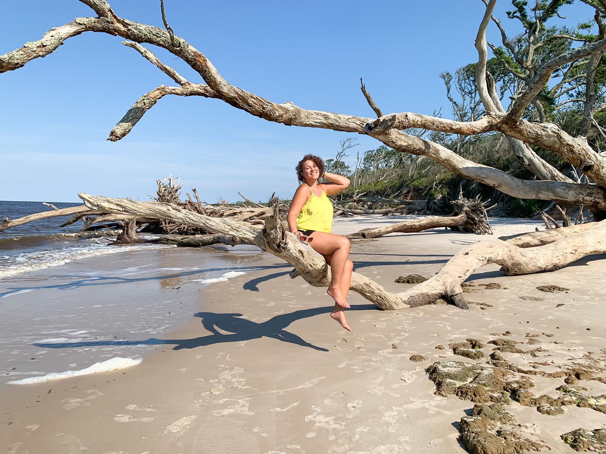 beautiful boneyard beach in Florida