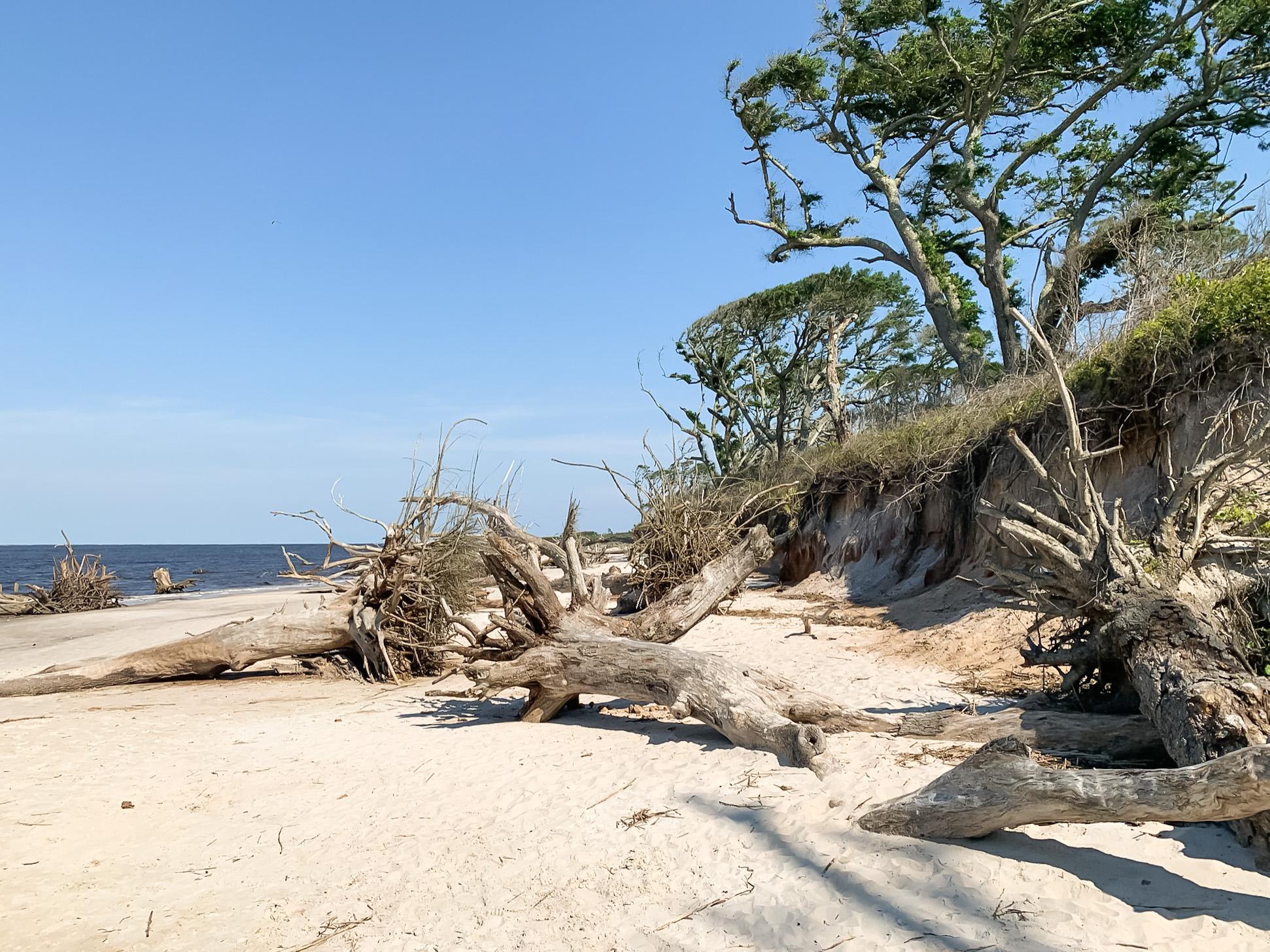 Boneyard Beach in Florida
