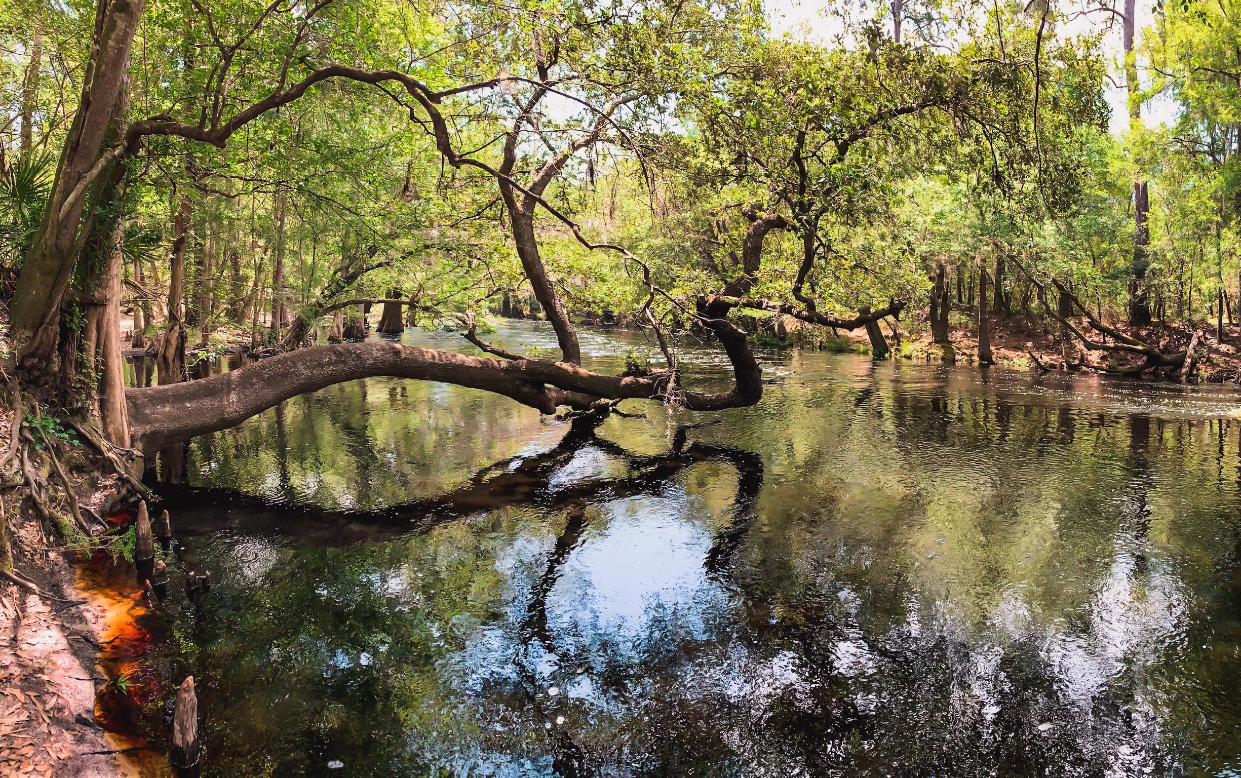 historic site in high springs Santa Fe river in O'leno state park in Florida