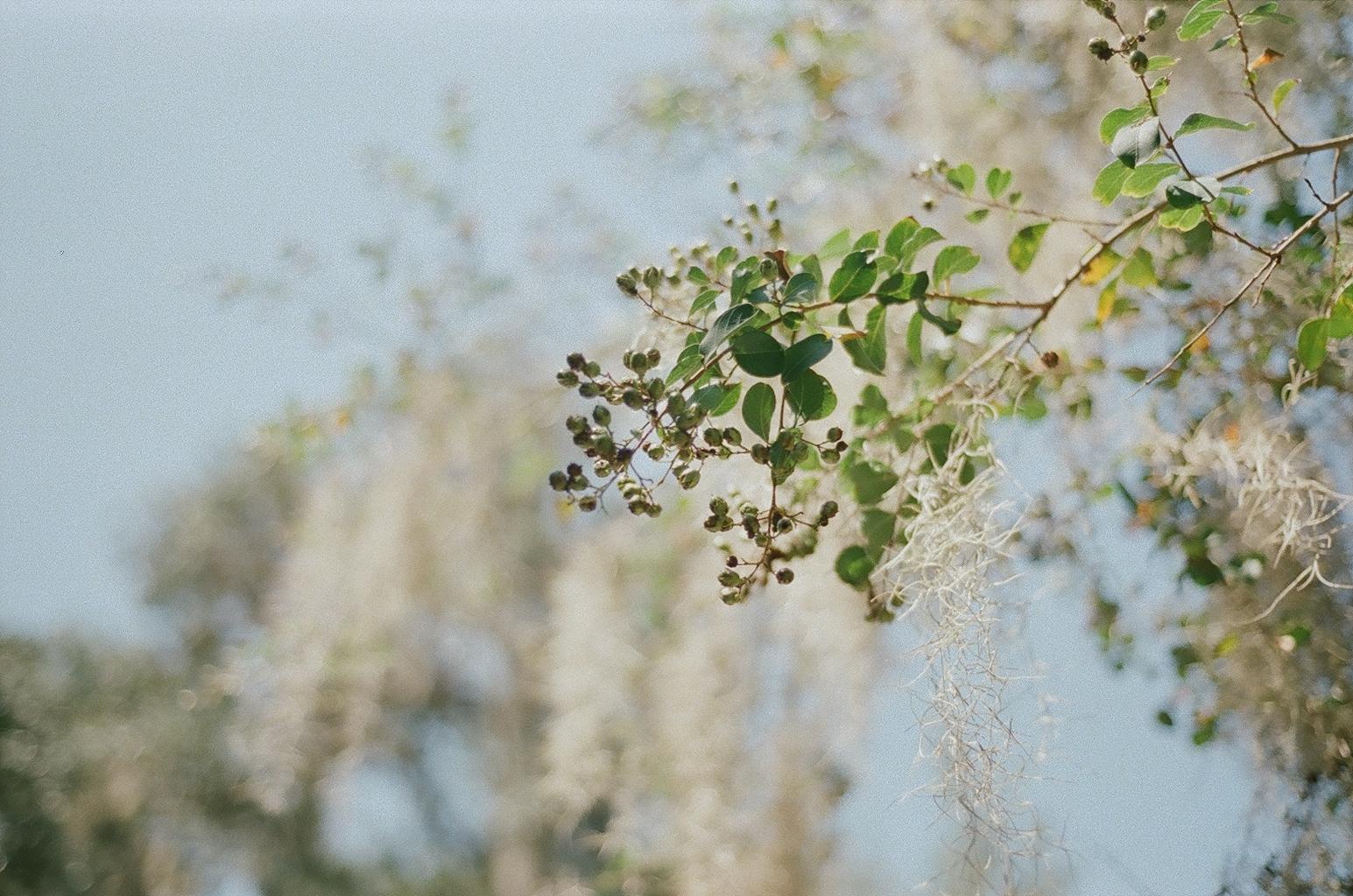 outdoor adventure film photos