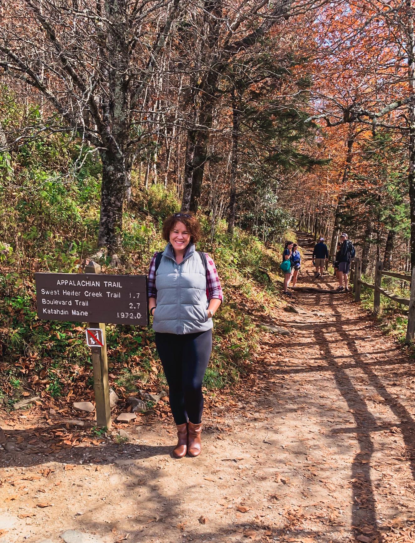great smoky mountains appalachian trail
