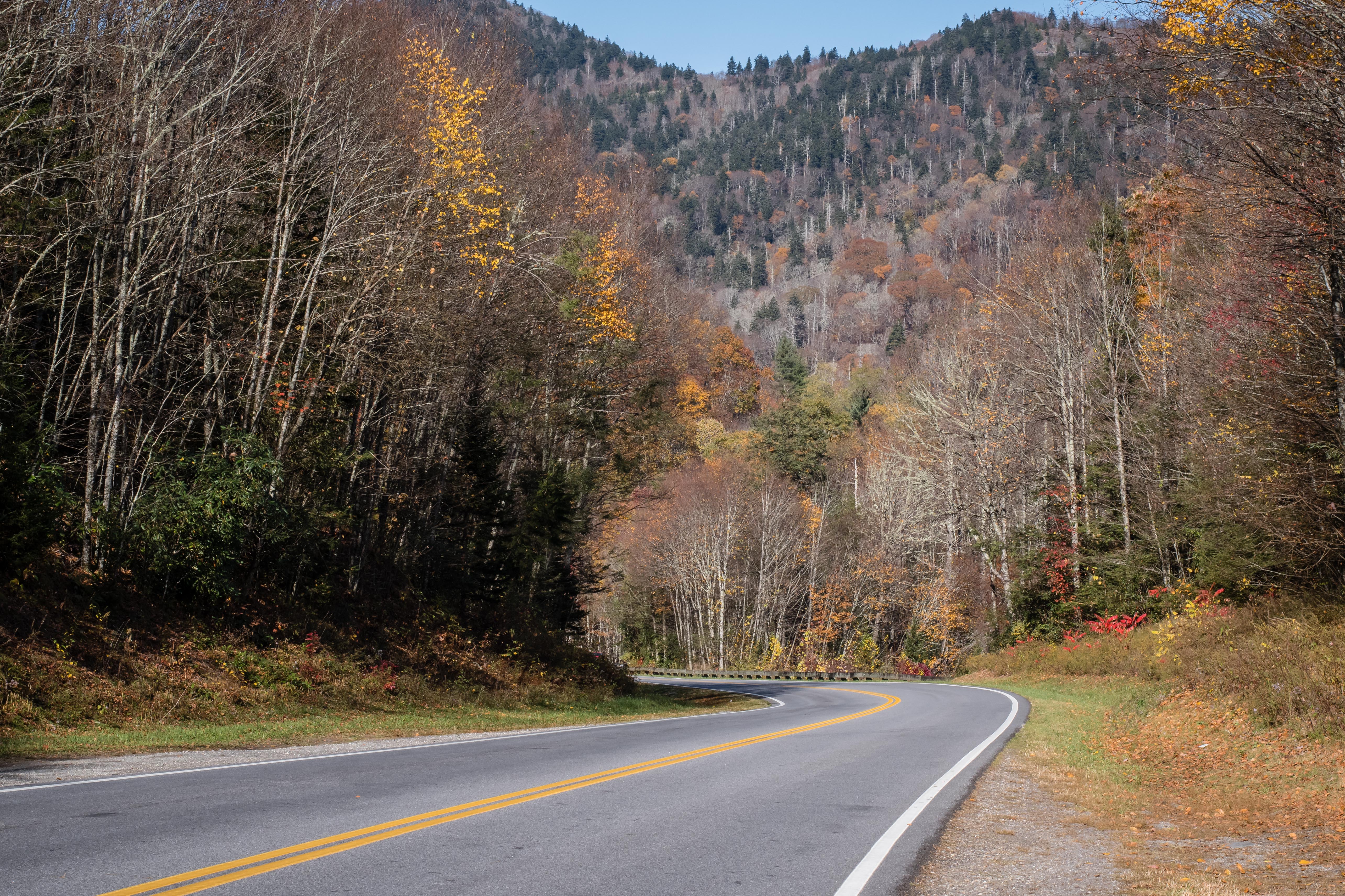 great smoky mountains scenic drive