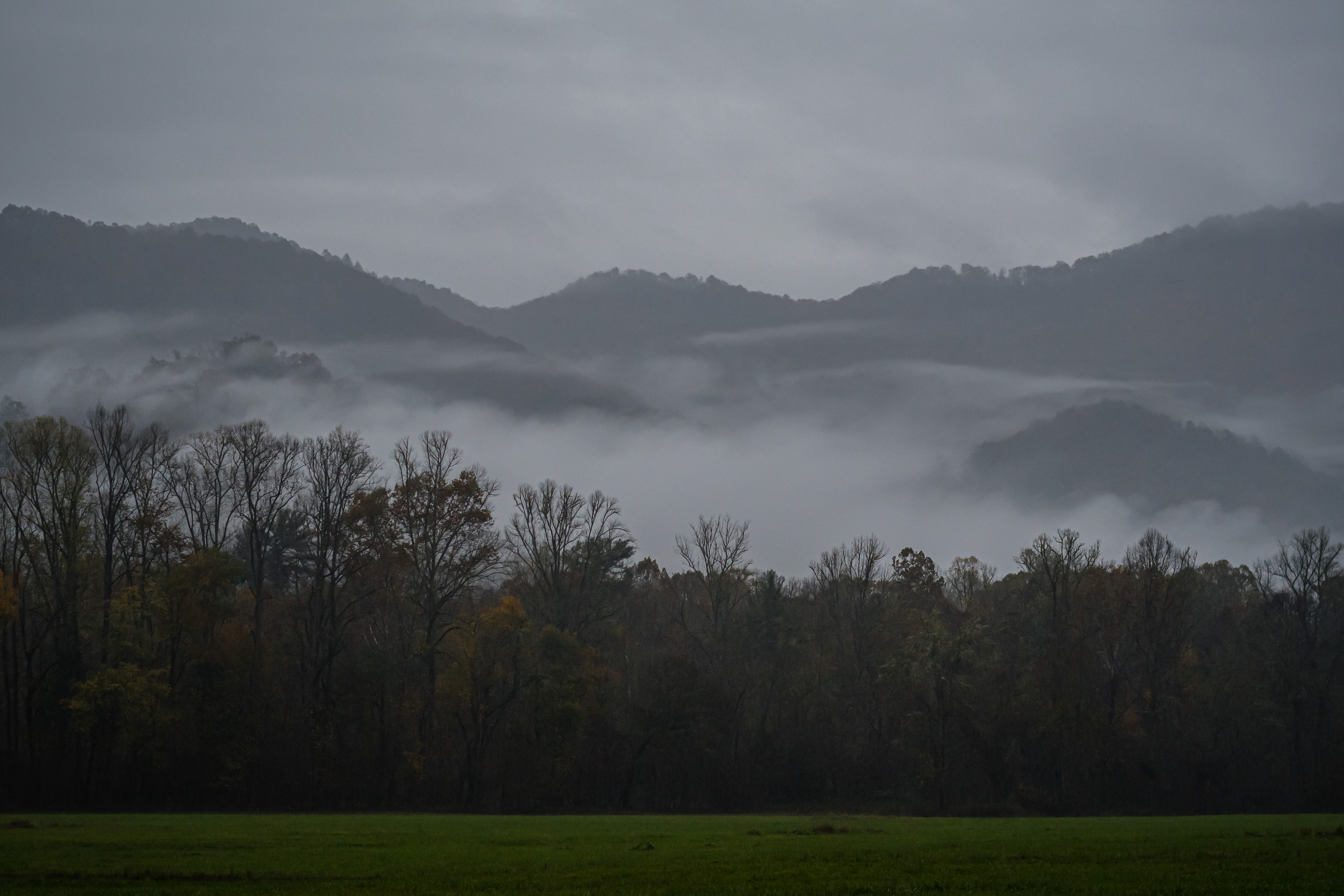 fog covering the smokies
