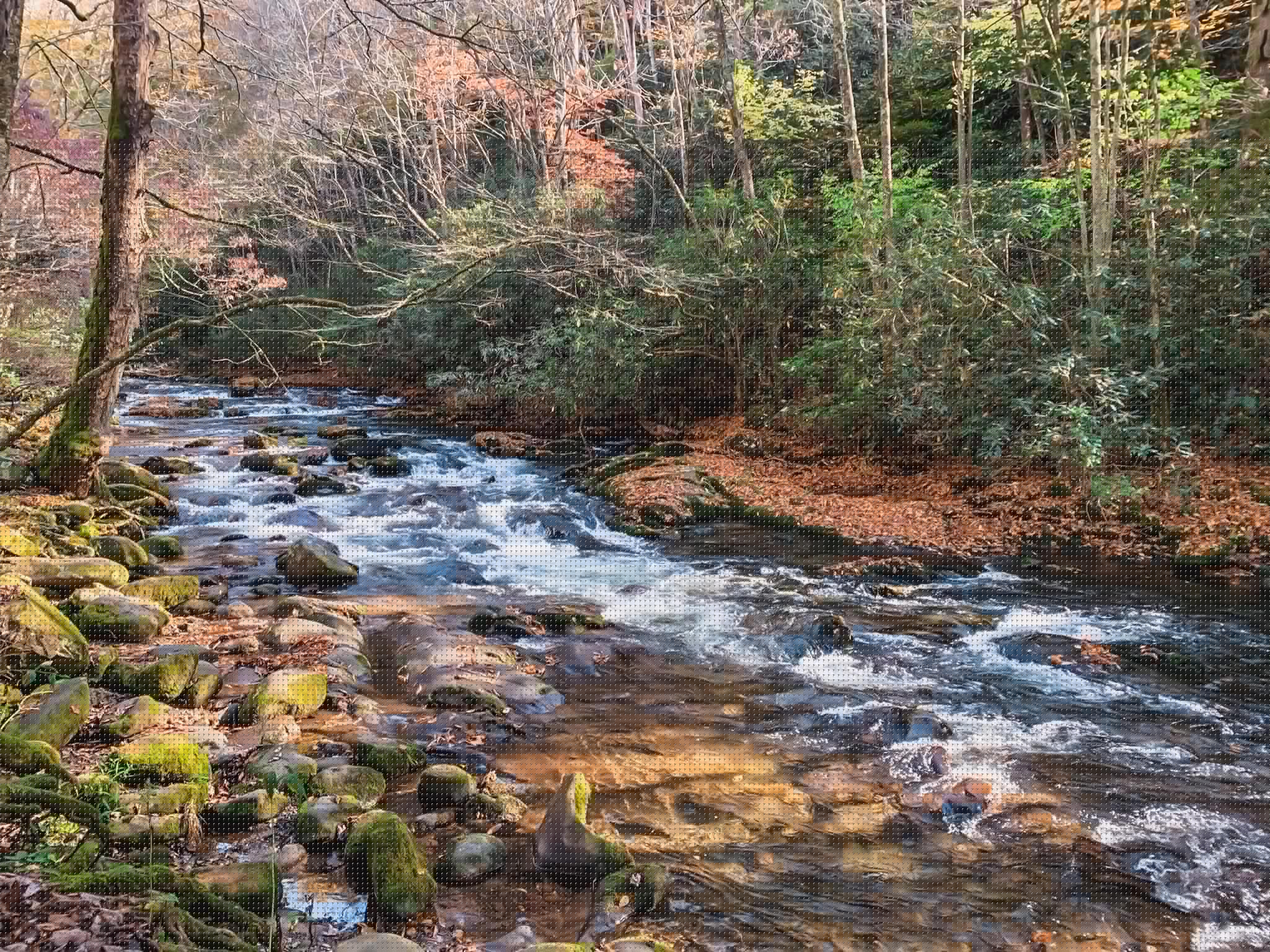 great smoky mountains river