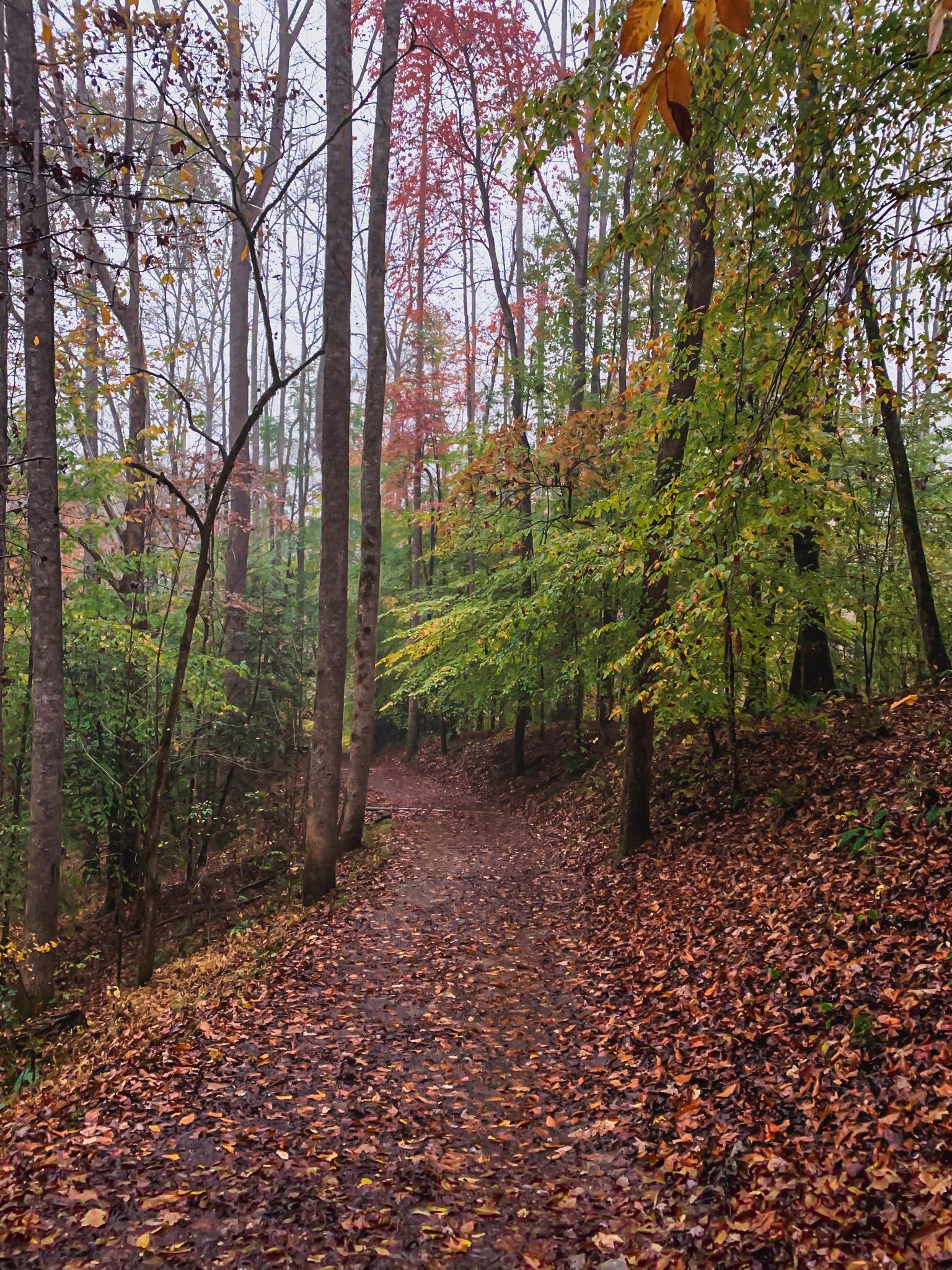 juney whank falls trail