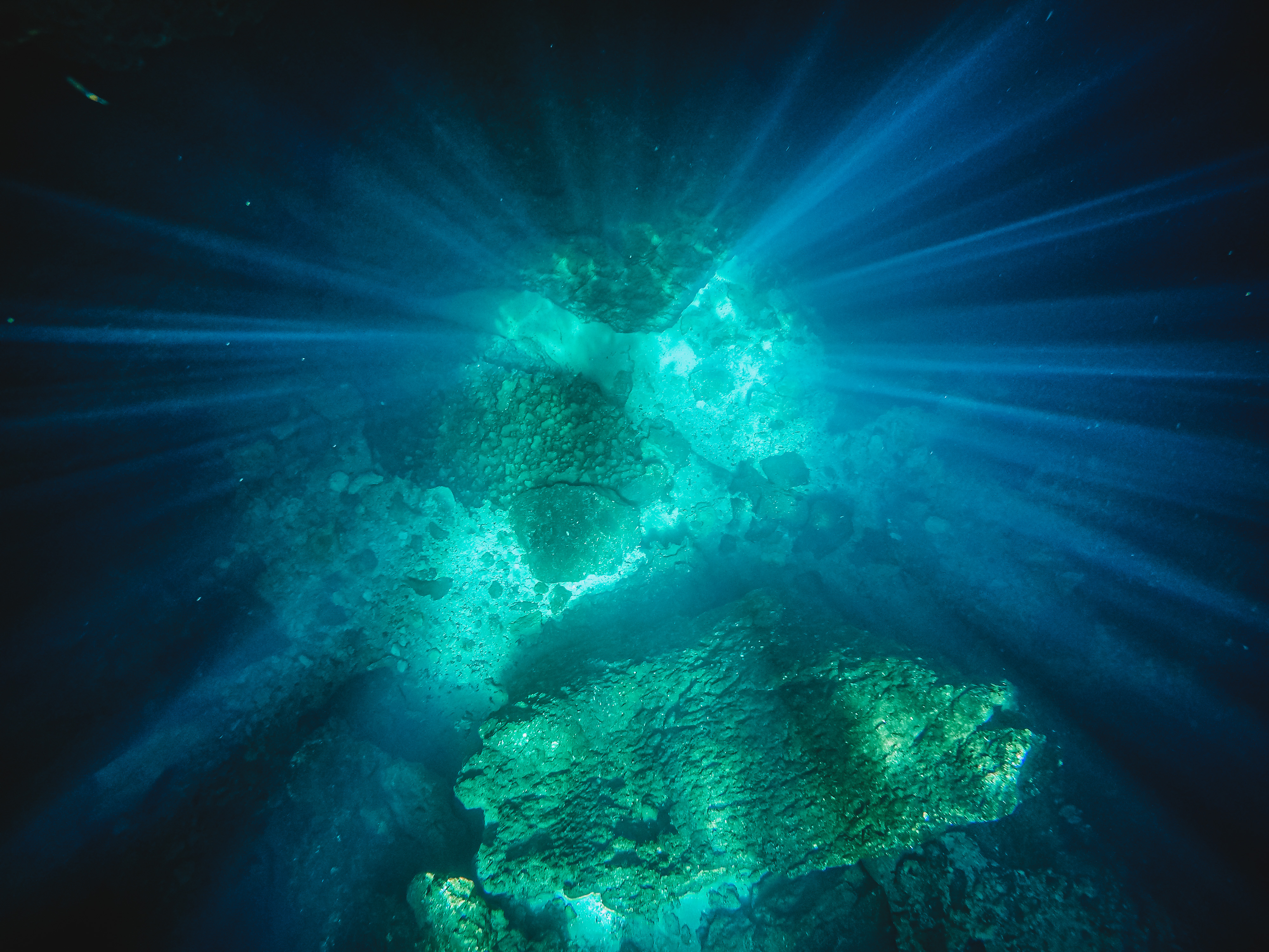 devil's den underground spring cave pictures