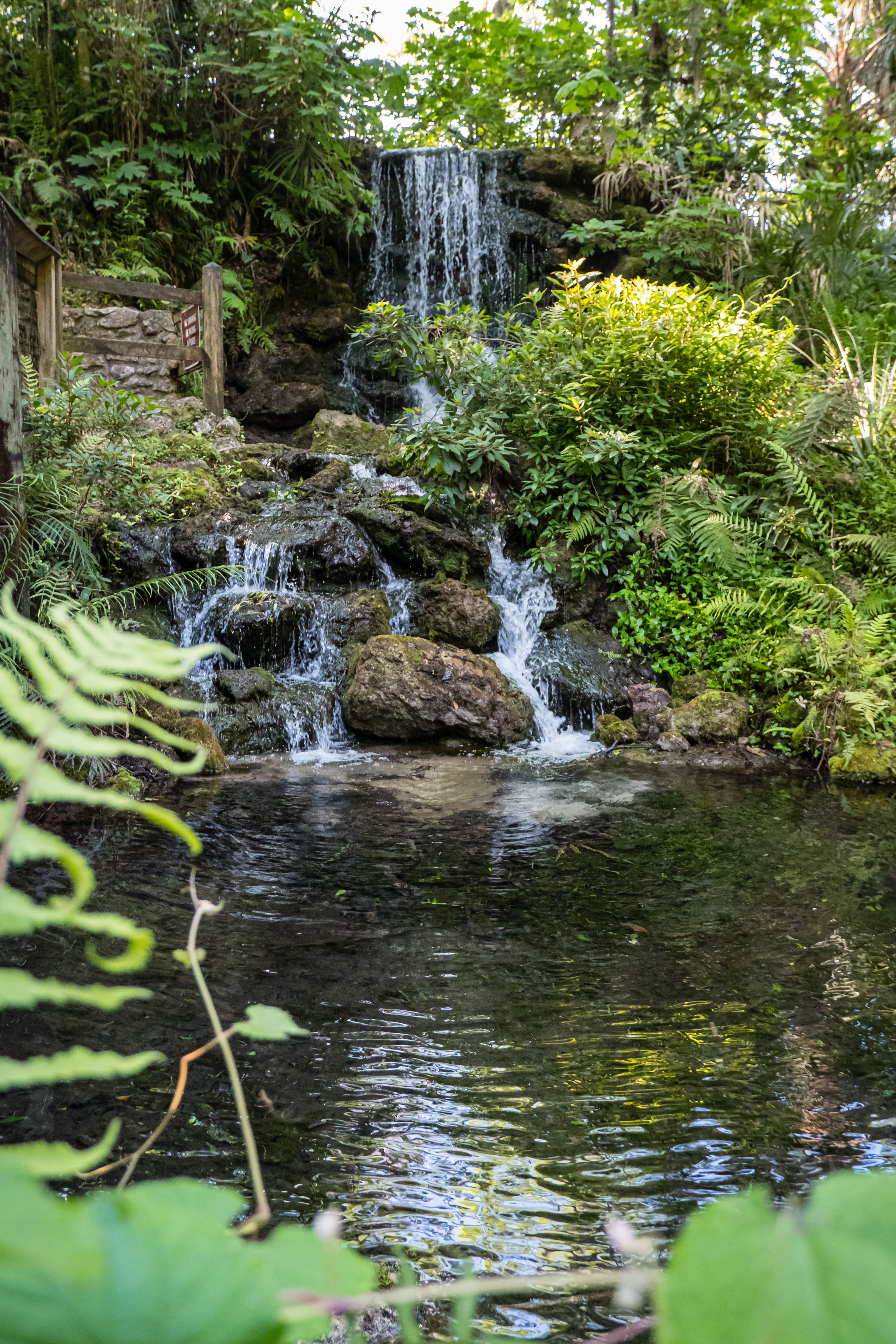 waterfalls in rainbow springs