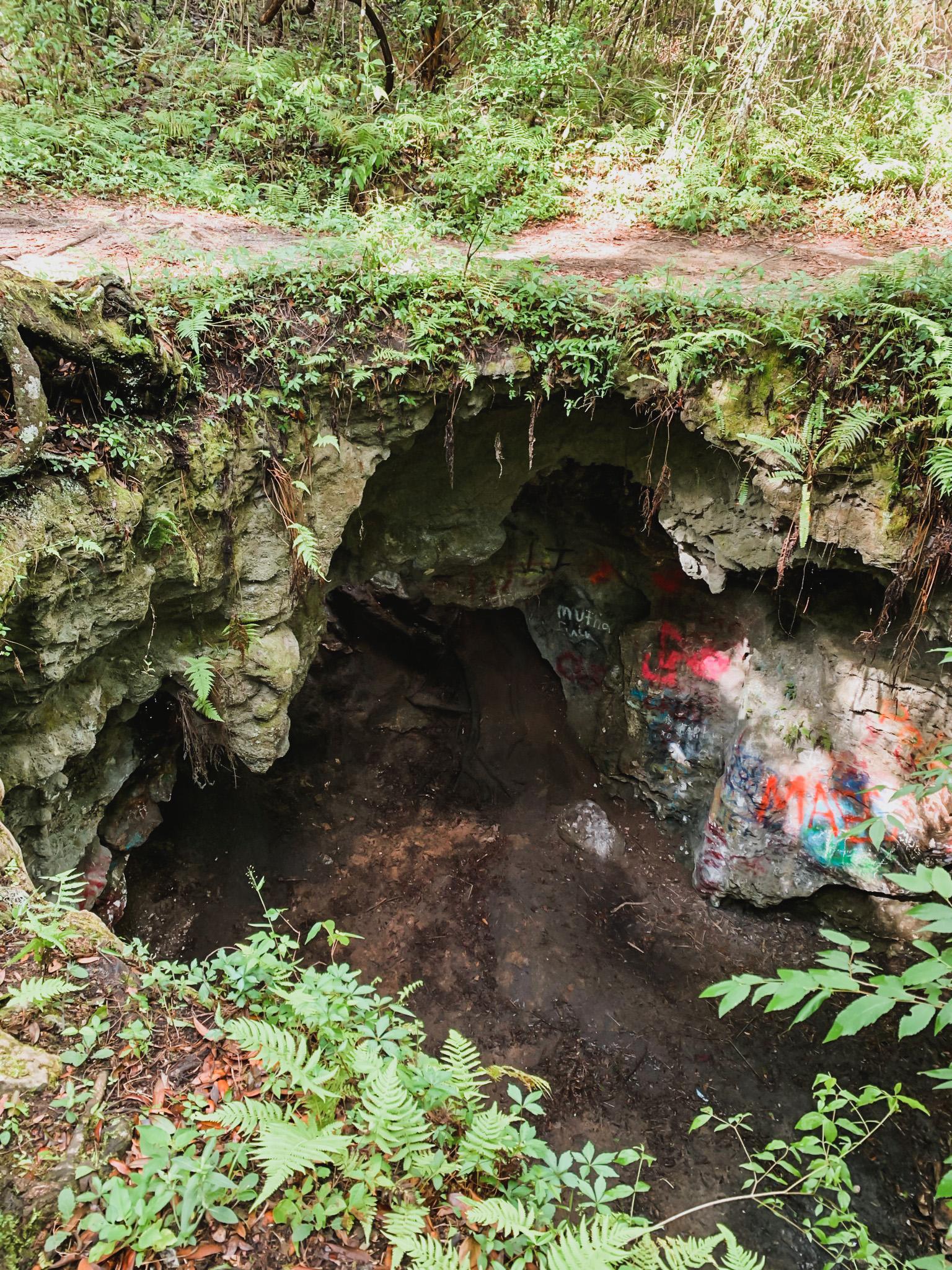 dames cave in Withlacoochee State Forest.