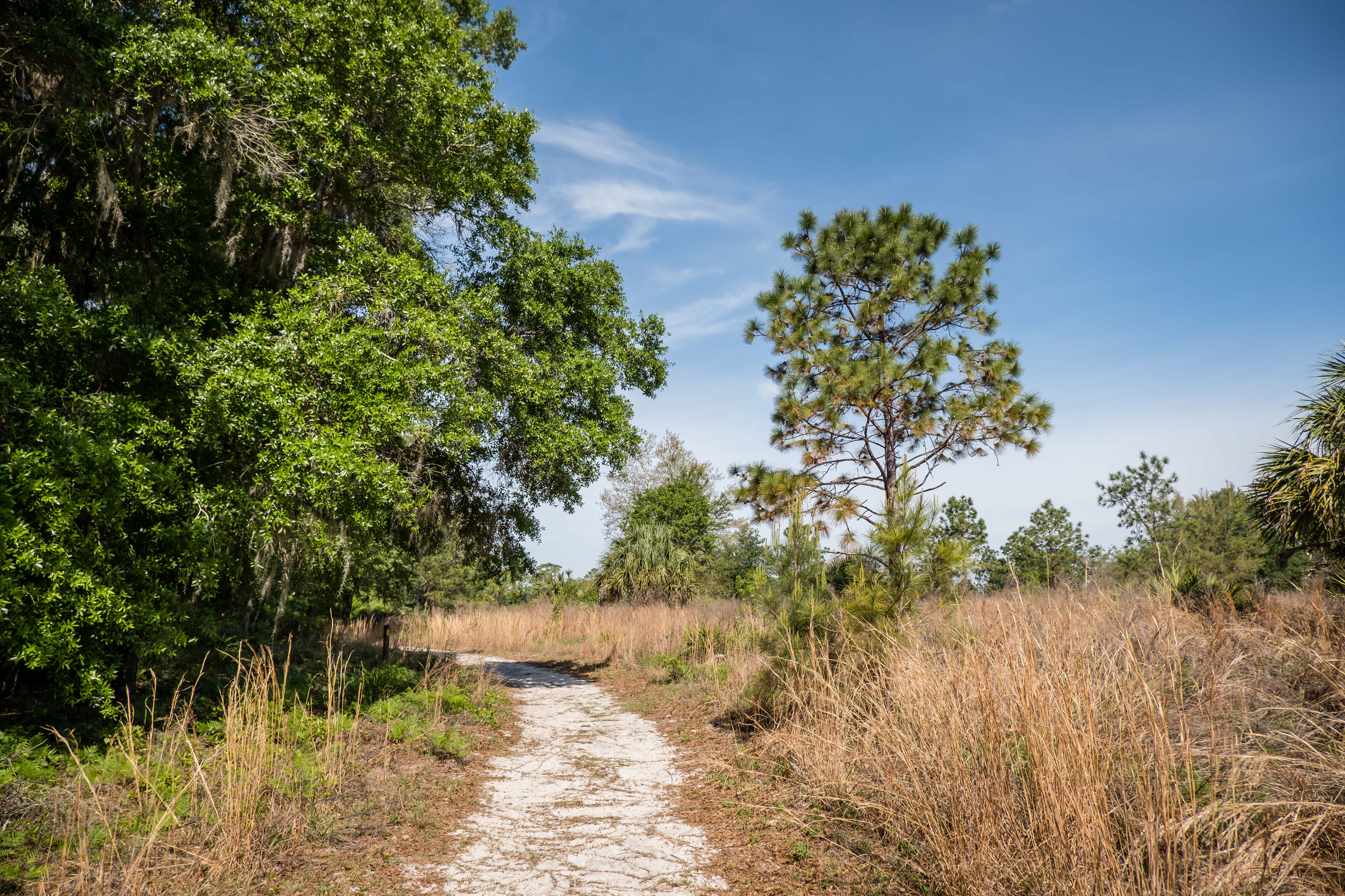 hiking trails in Rainbow Springs