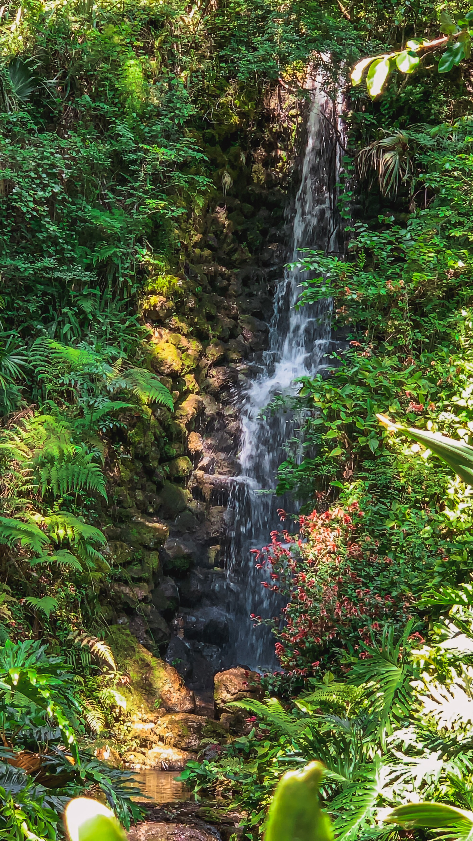 waterfalls in florida