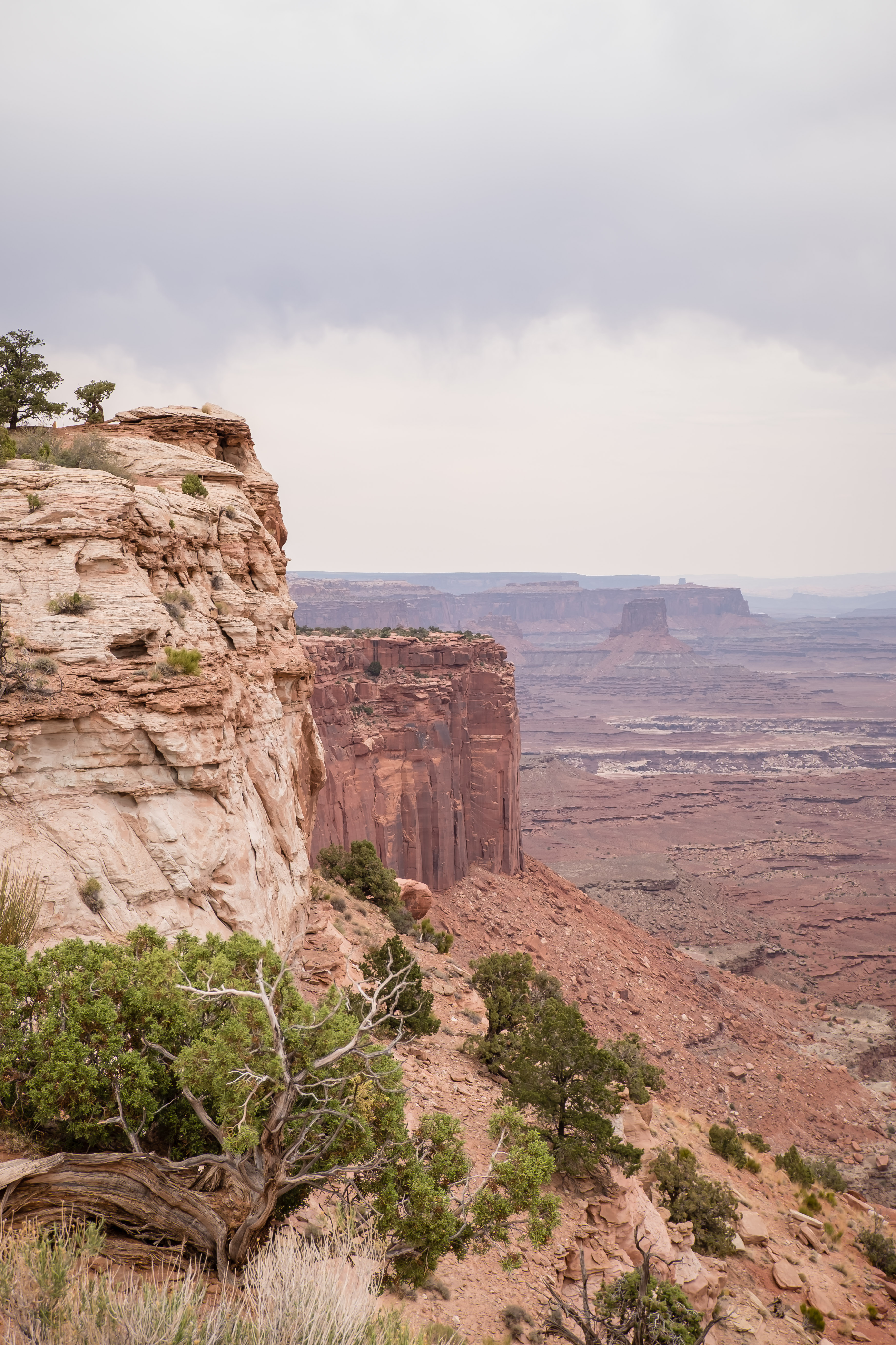 best overlooks in island in the sky canyonlands