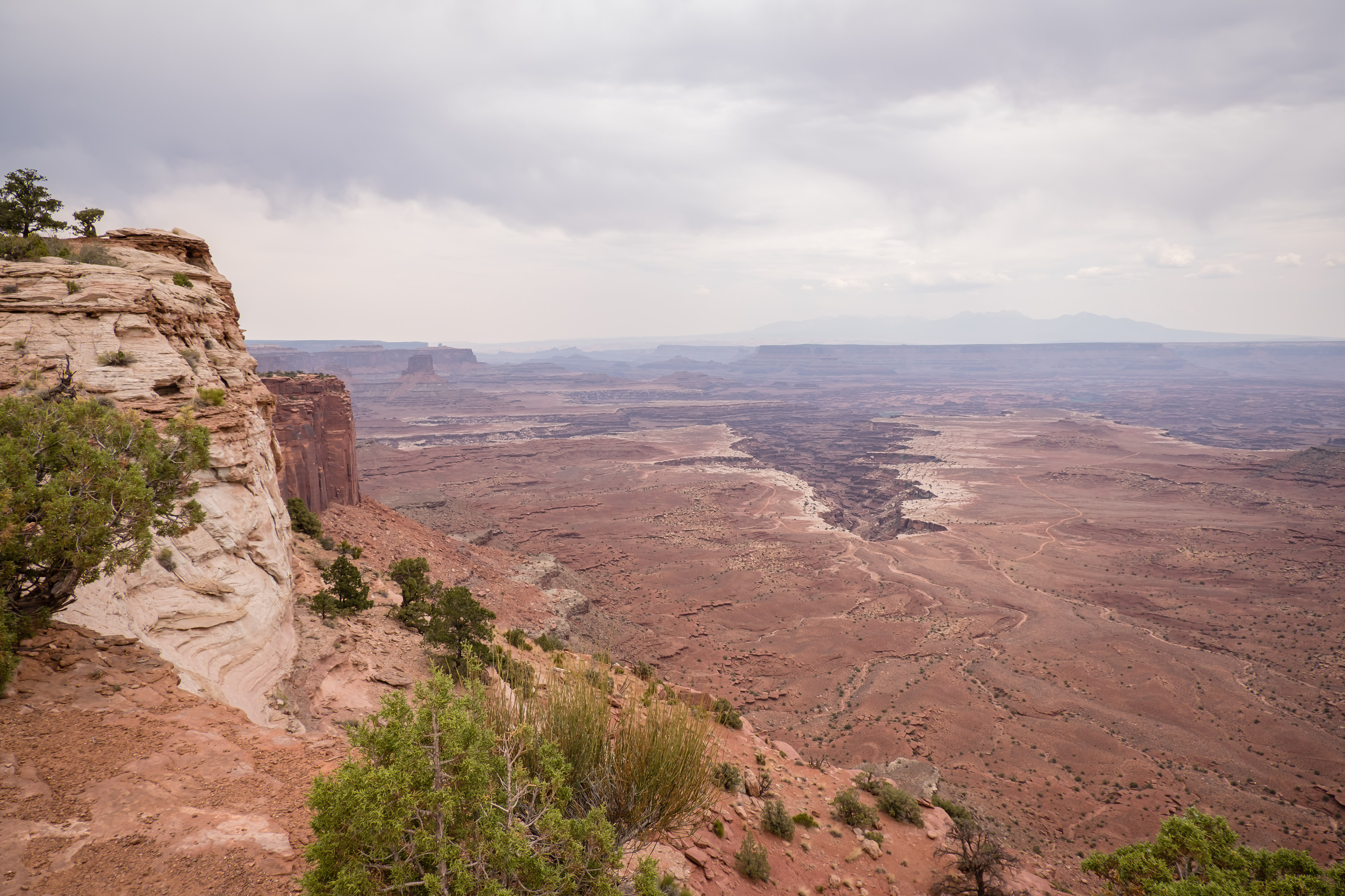 desert landscape in canyonlands national park