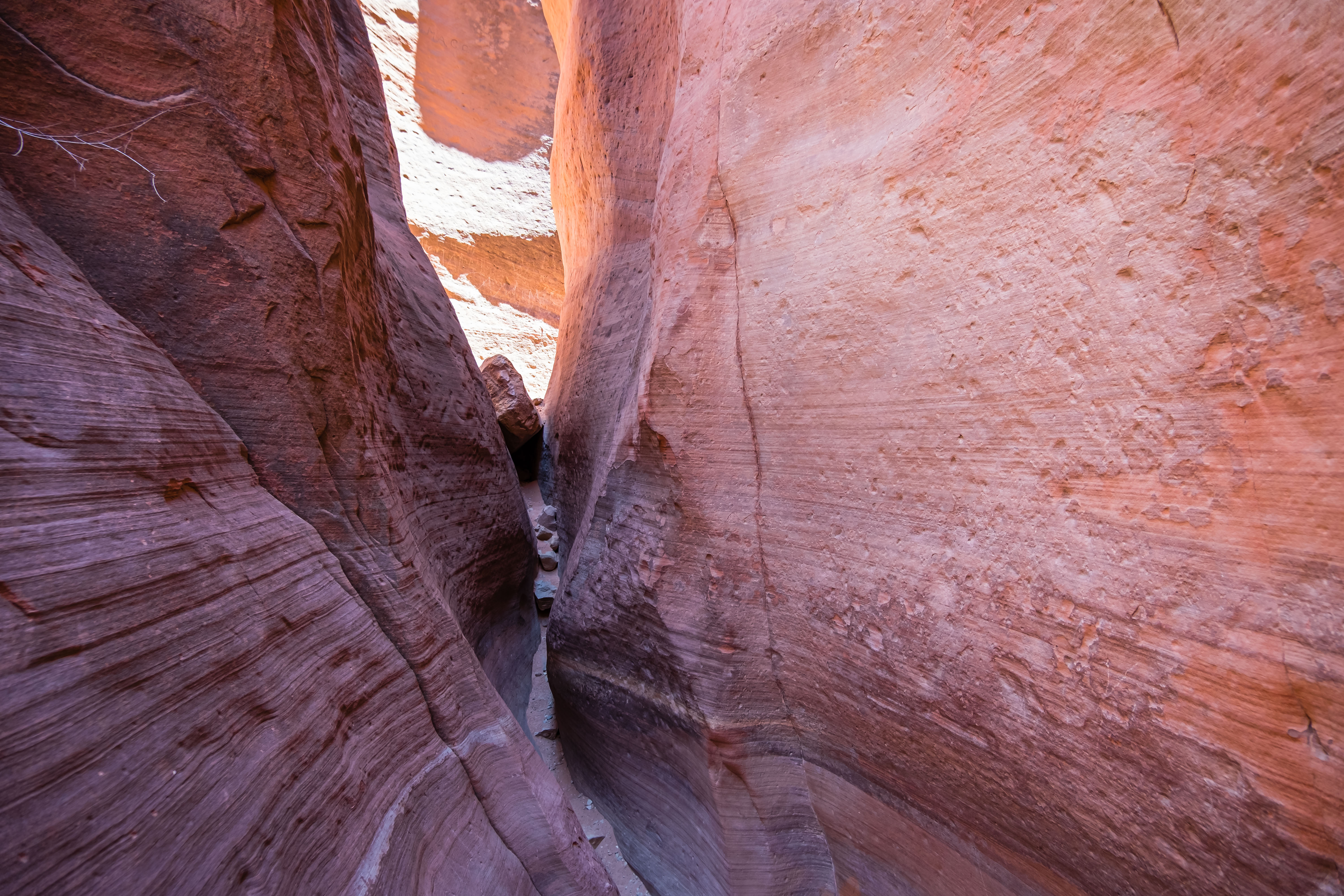 the wave in utah