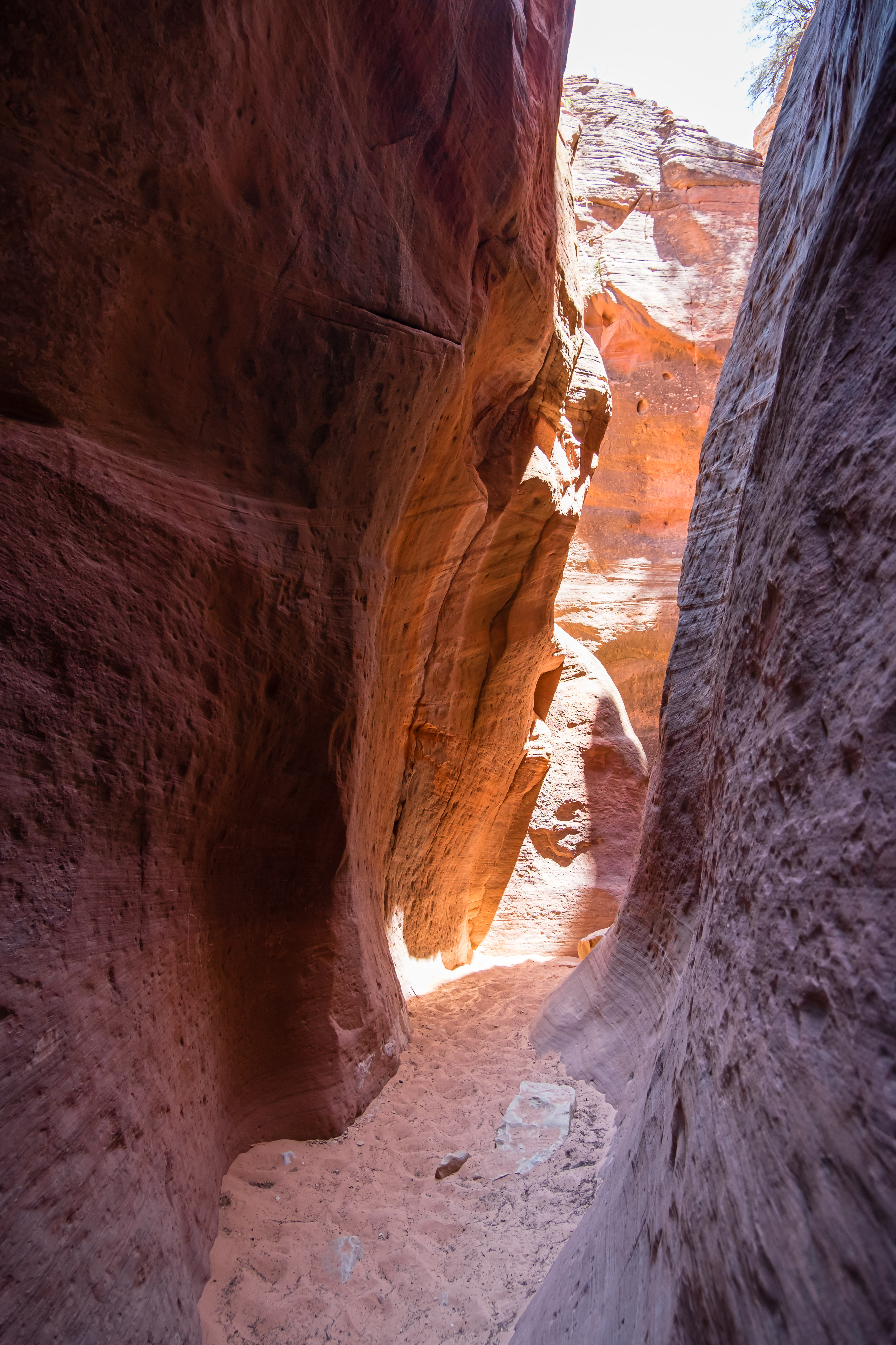 colors of the red hollow slot canyon hike