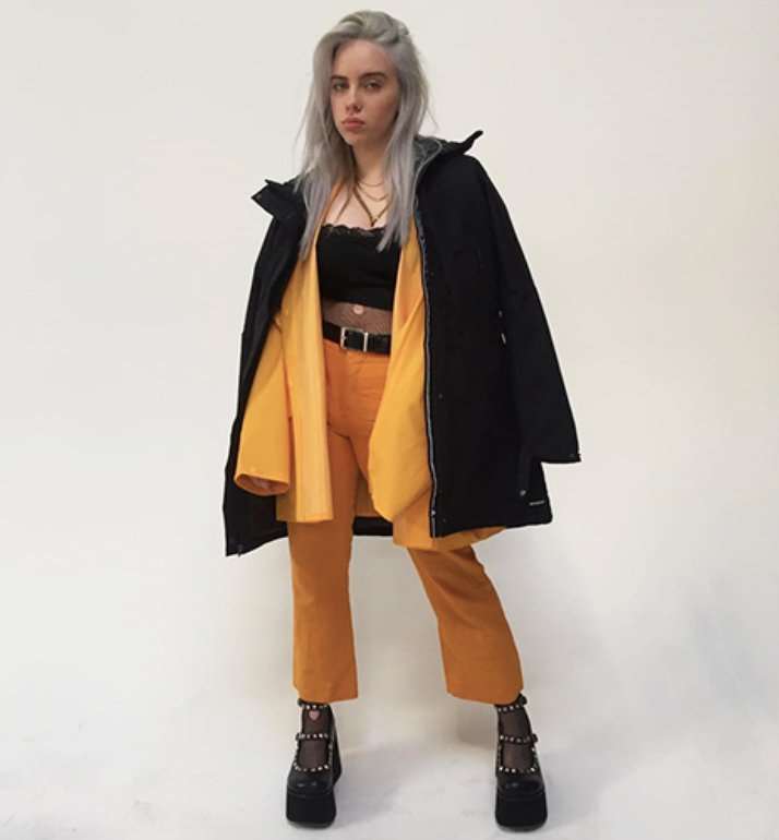 Billie Eilish Birthday, Real Name, Age, Weight, Height, Family, Facts