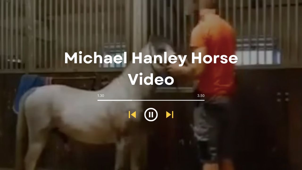 Revealing The Enchanting World Of Horse-Drawn Carriages In "Michael  Hanley Horse Video Comfort Carri