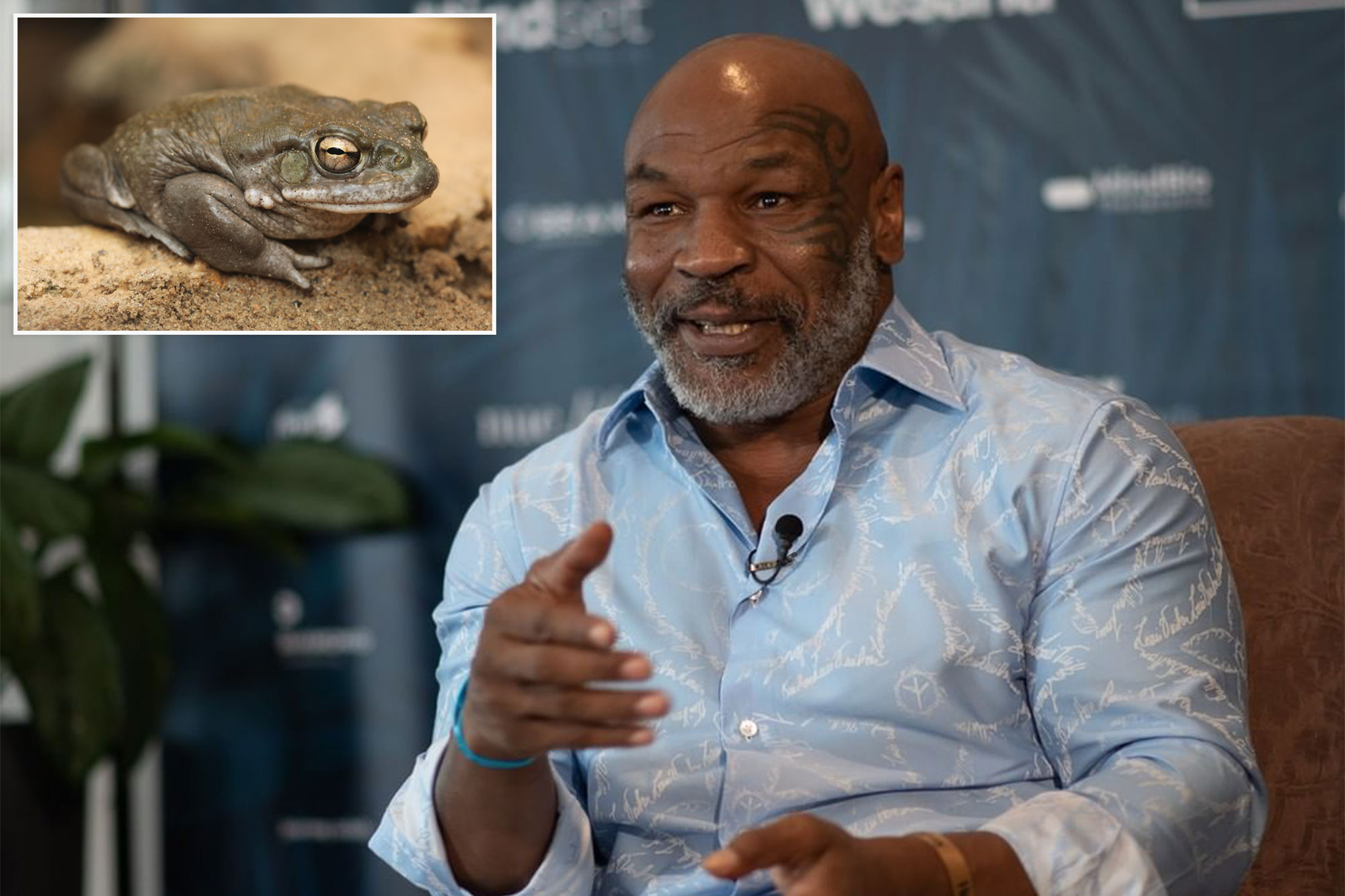 Mike Tyson 'died' while tripping on psychedelic toad venom