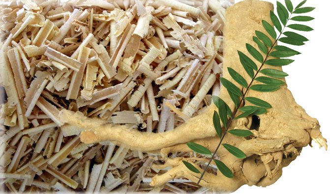Tongkat Ali