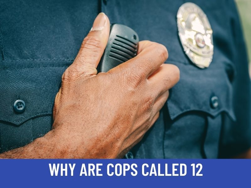 Why Are Police Called 12? (3 Reasons Why Cops Are Called 12)