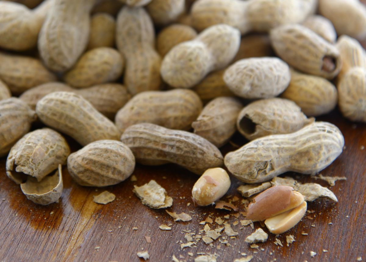 Peanut