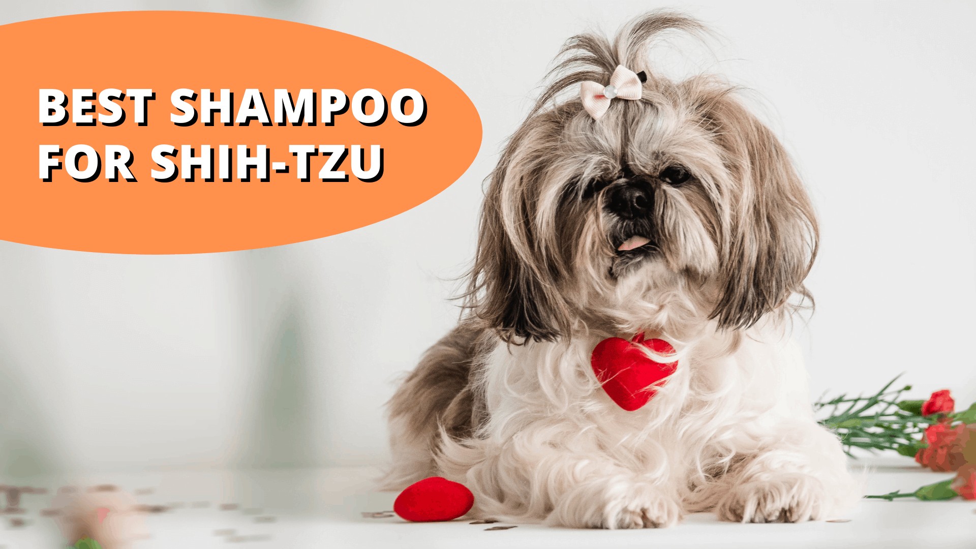 11 Best Dog Shampoos for Shih Tzus The Ultimate Guide