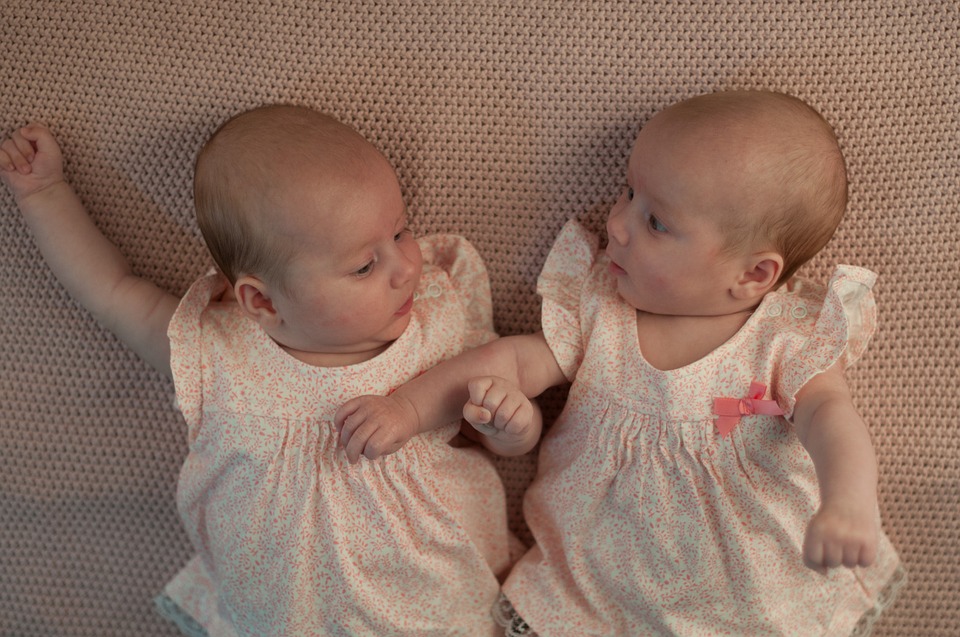 Difference Between Maternal and Paternal Twins Definition, Formation
