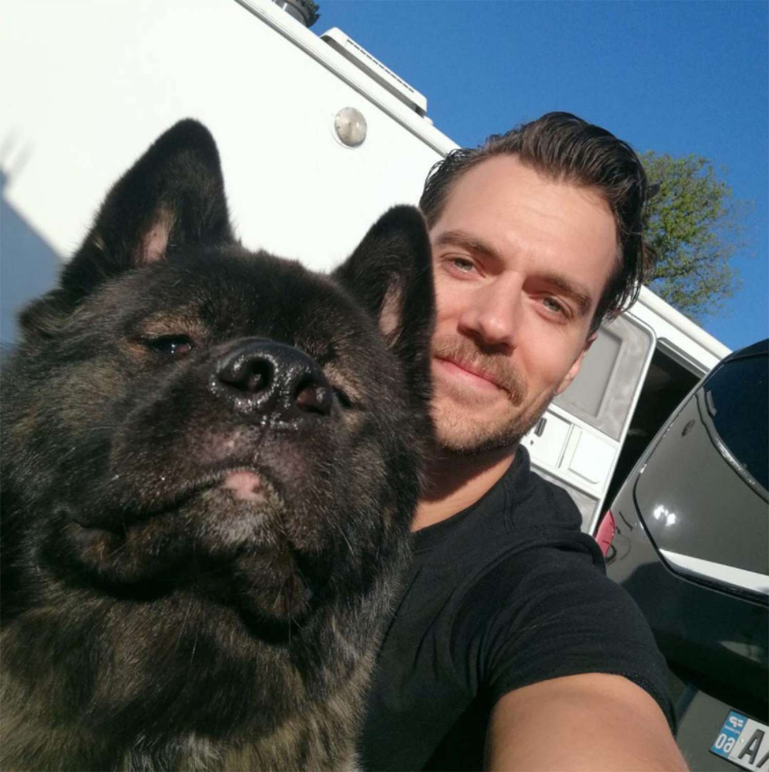 Henry Cavill's Dog 'Traveling Bear' Kal on Instagram