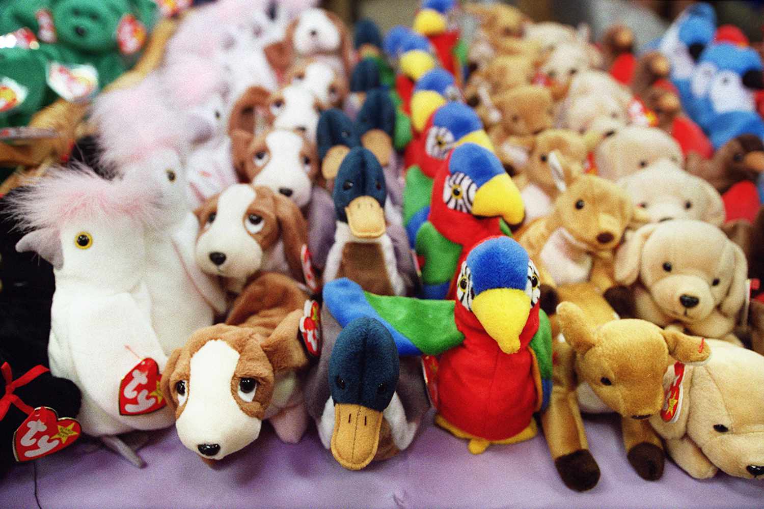 The Most Valuable Beanie Babies, According to an Expert
