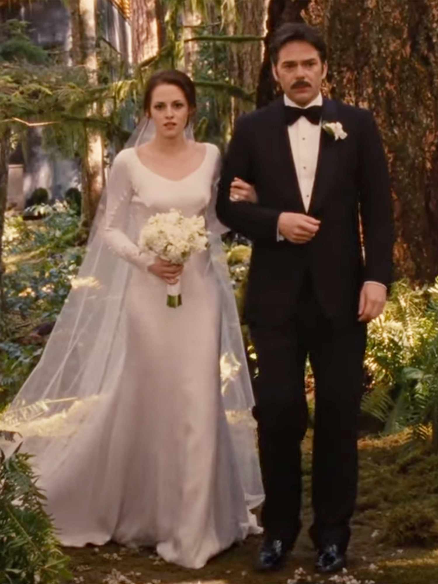 Bella Swan's Twilight Wedding Dress A Look Back at the Iconic Carolina