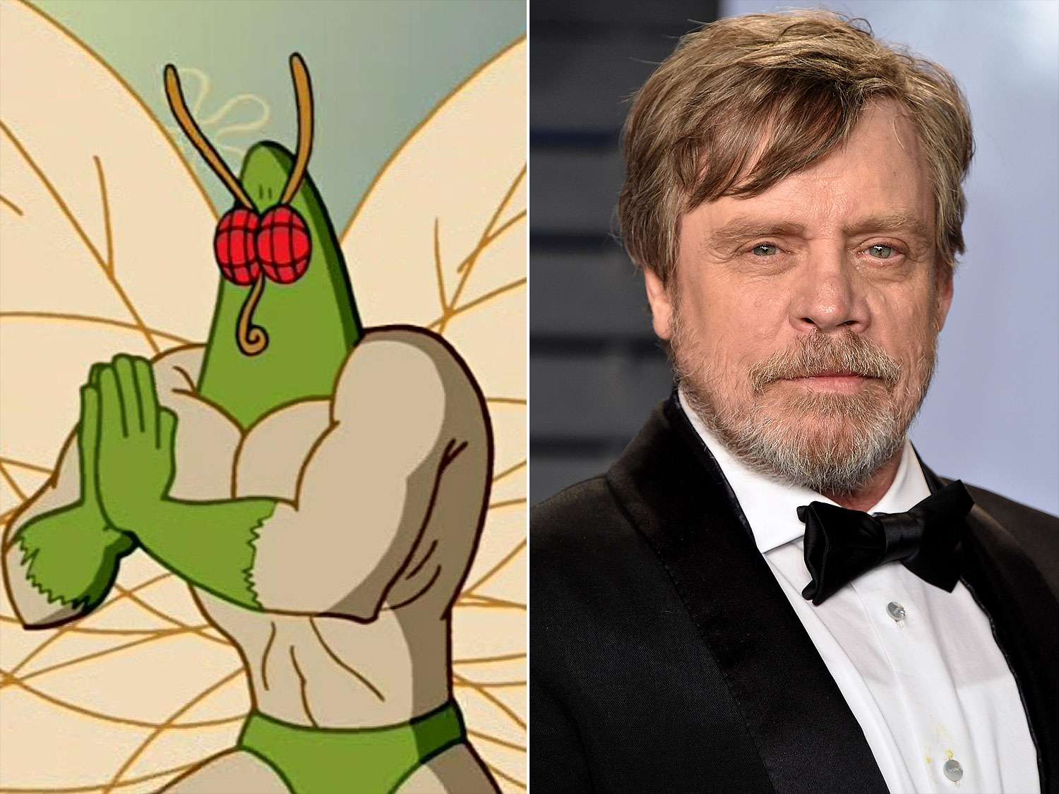 SpongeBob SquarePants Celebs Who Voiced Characters on the Show