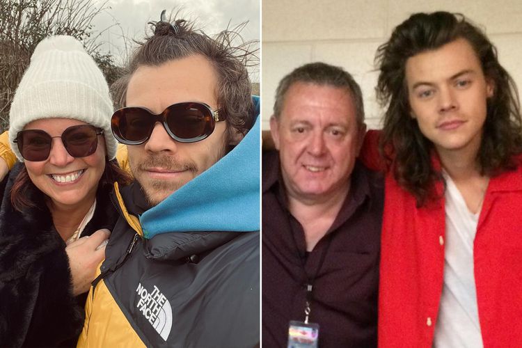 All About Harry Styles' Parents, Anne Twist and Desmond Styles