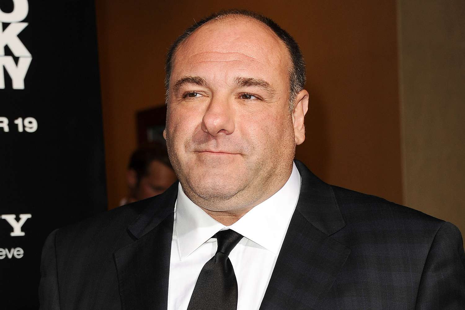 James Gandolfini Gave Sopranos Costars 33,000 Each, Book Says