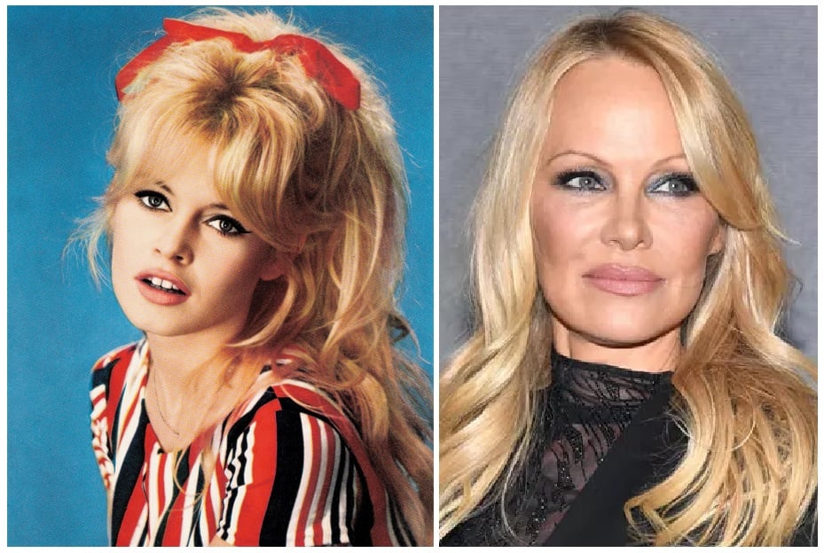 What Is Relationship Of Pamela Bardot And Brigitte Bardot