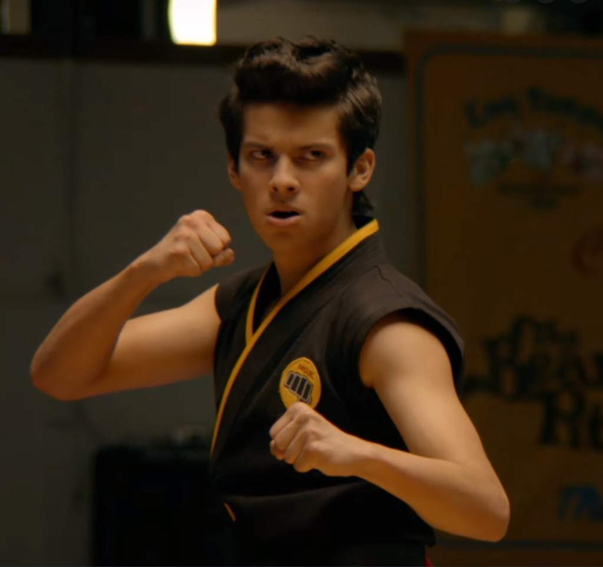 Miguel Wiki Cobra Kai. Amino