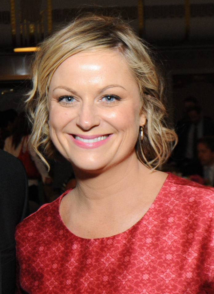 Amy Poehler Wiki 2021 Net Worth, Height, Weight, Relationship & Full