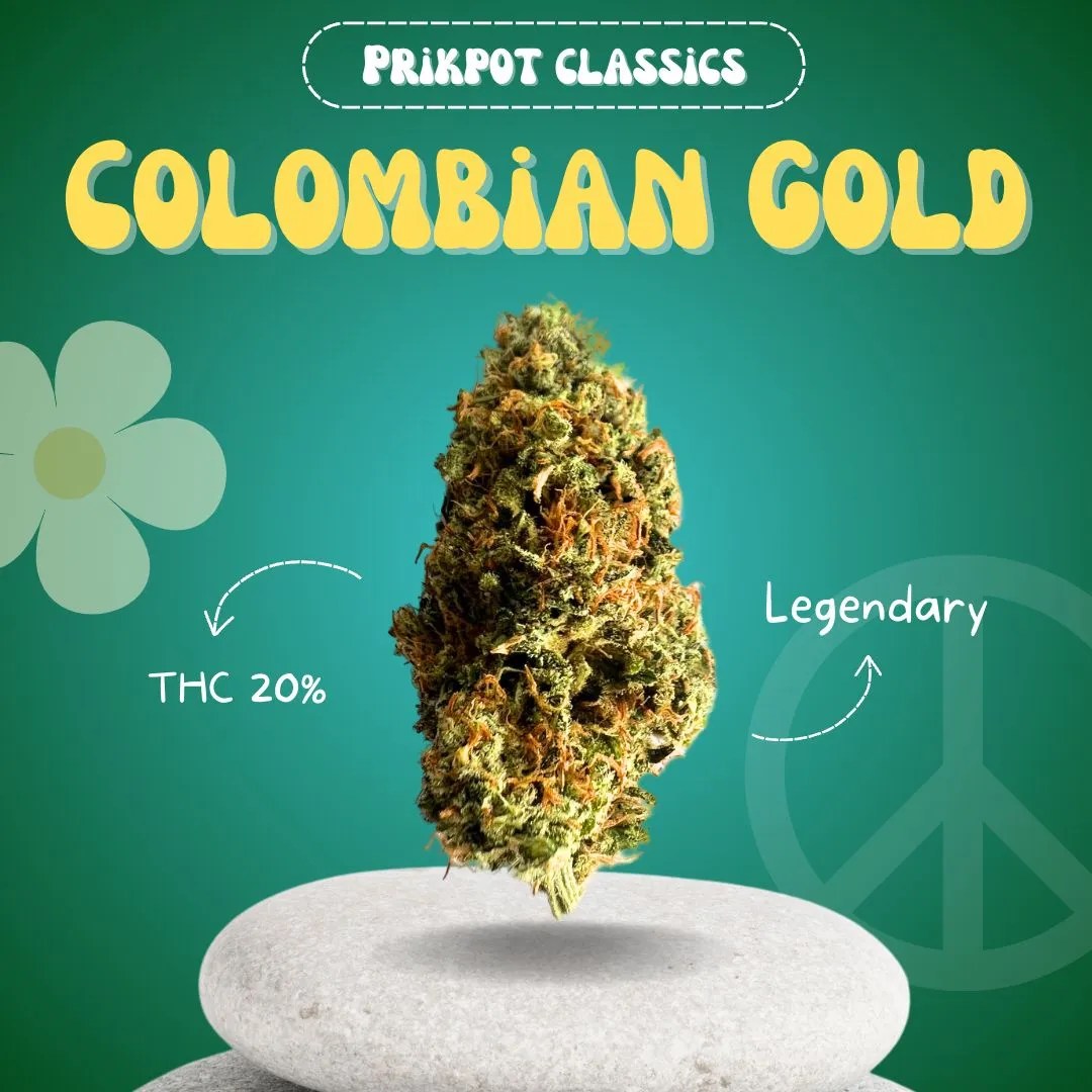 Colombian Gold PrikPot Thailand