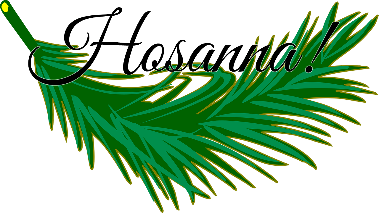 Hosanna in the Highest RealTalk with Rachel Dawn
