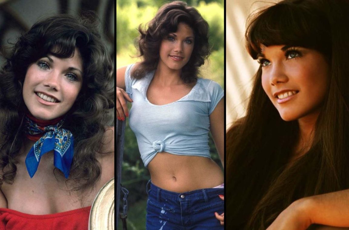 Stunning Photos of a Young Barbi Benton in the 1970s and 1980s MrMehra